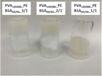 Nanomaterials 12 02420 i004