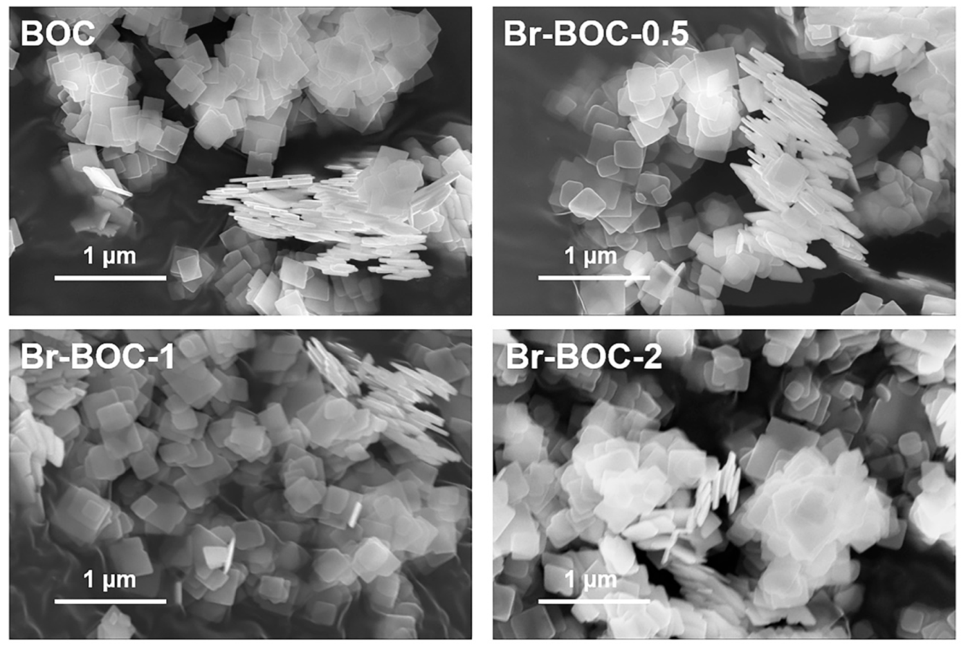 Nanomaterials 12 02423 g002