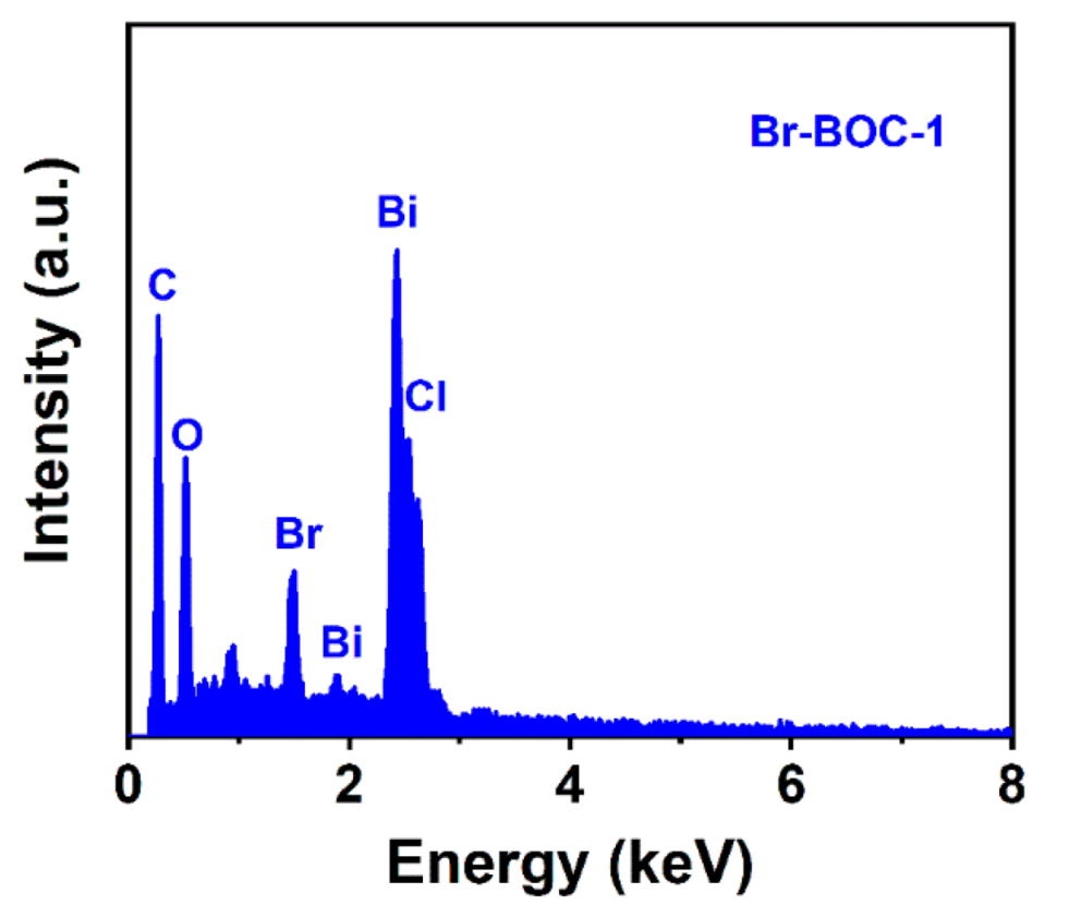 Nanomaterials 12 02423 g003