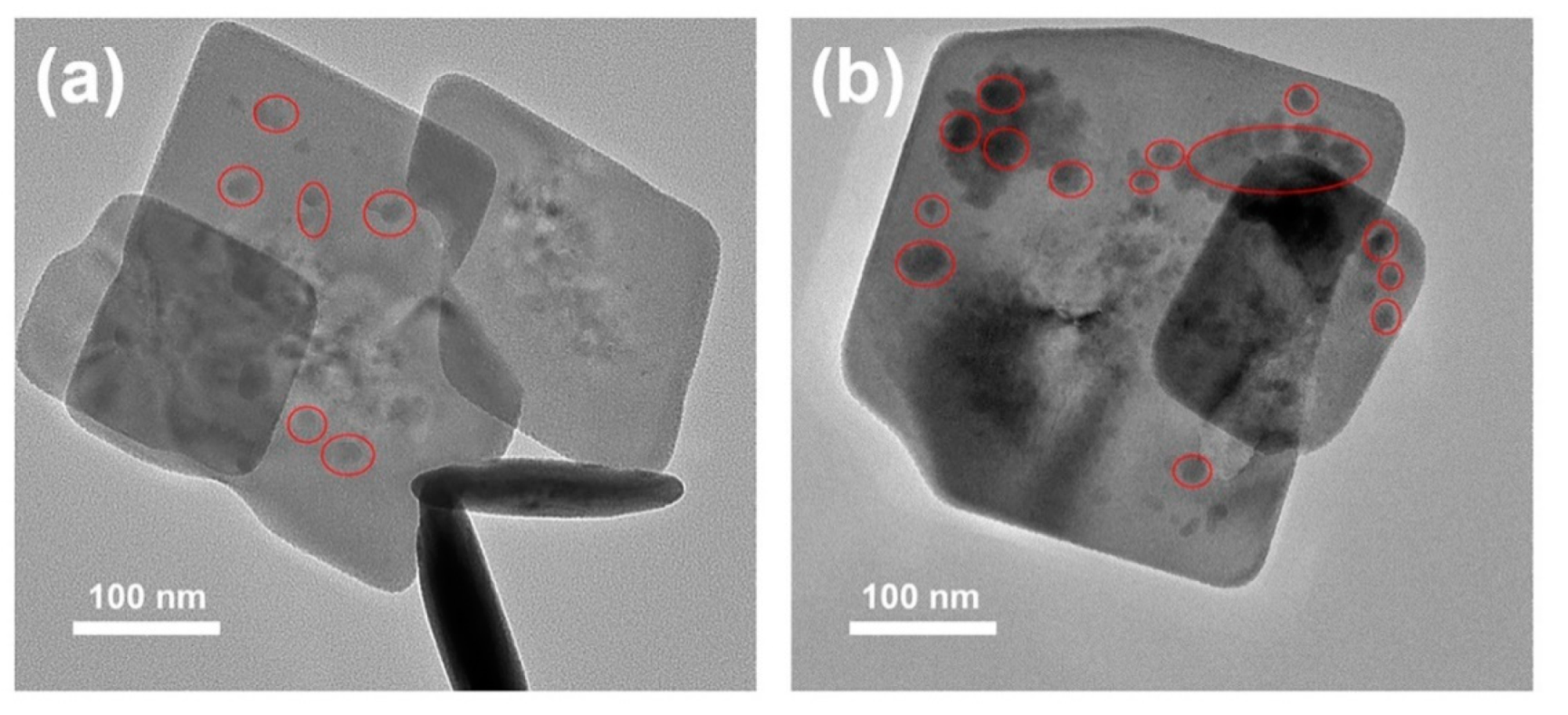 Nanomaterials 12 02423 g011