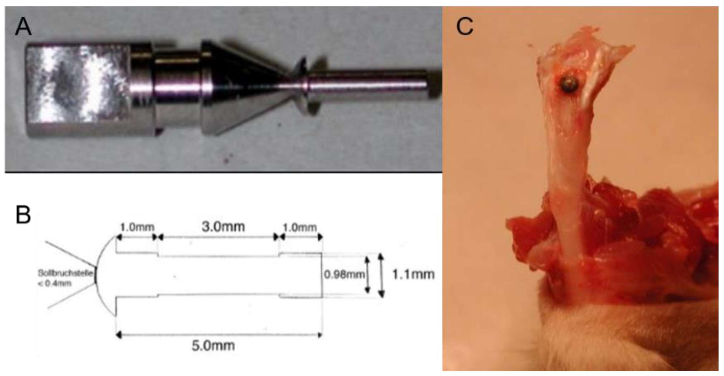 Nanomaterials 12 02439 g001