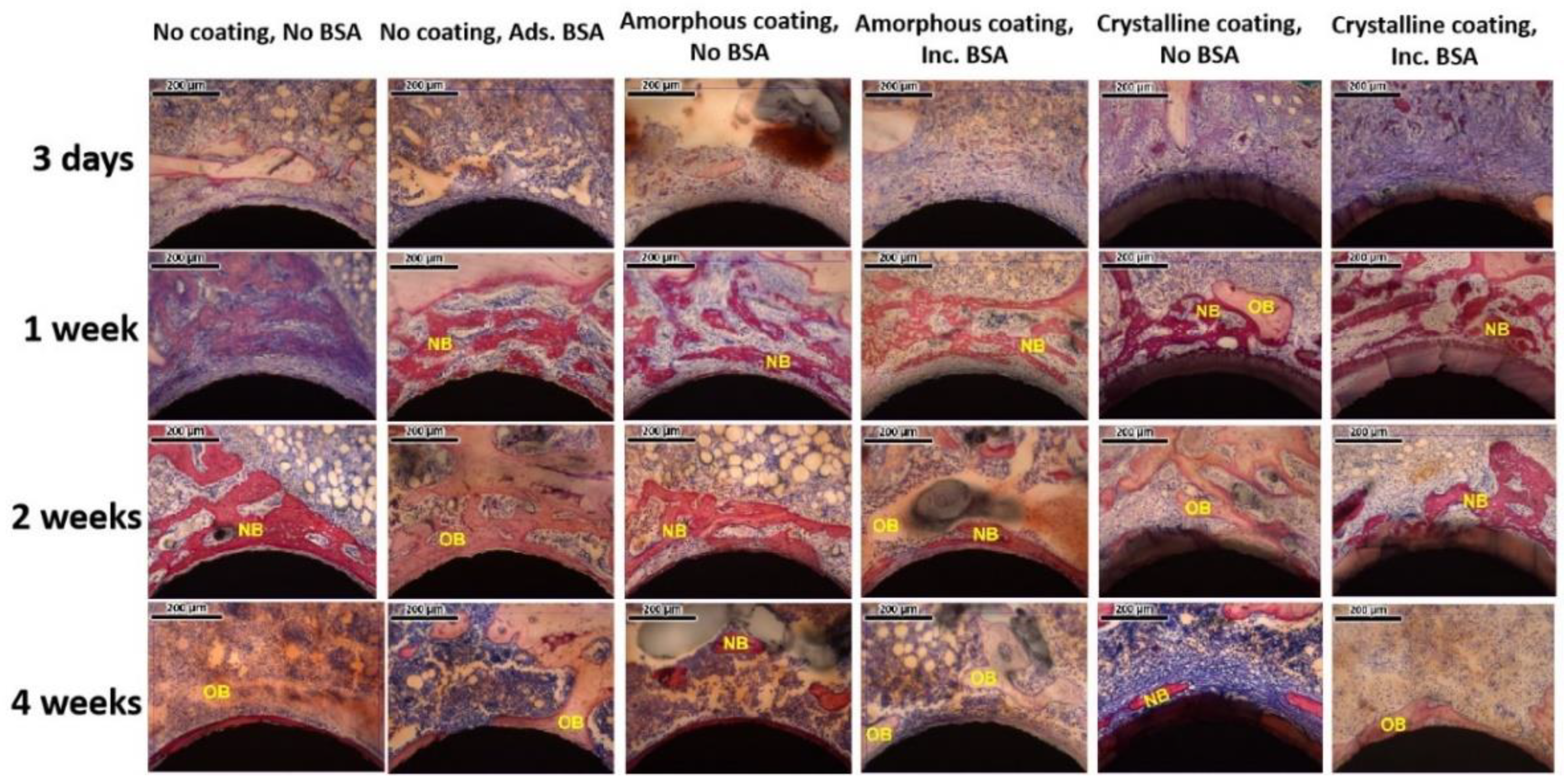 Nanomaterials 12 02439 g006