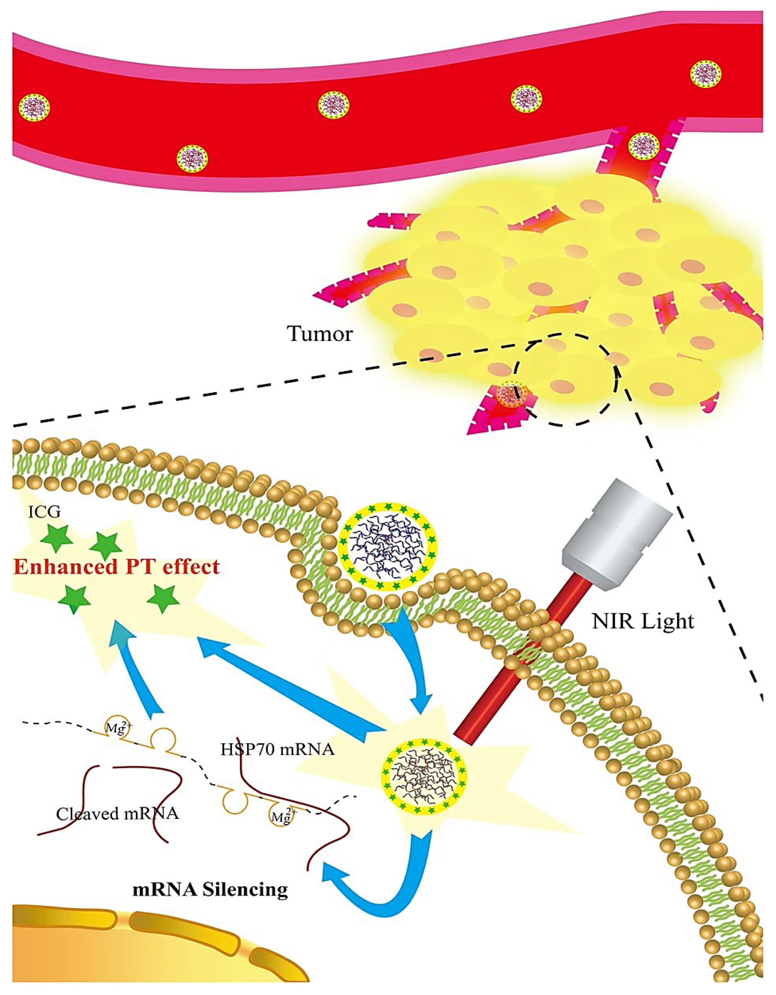 Nanomaterials 12 02440 g006