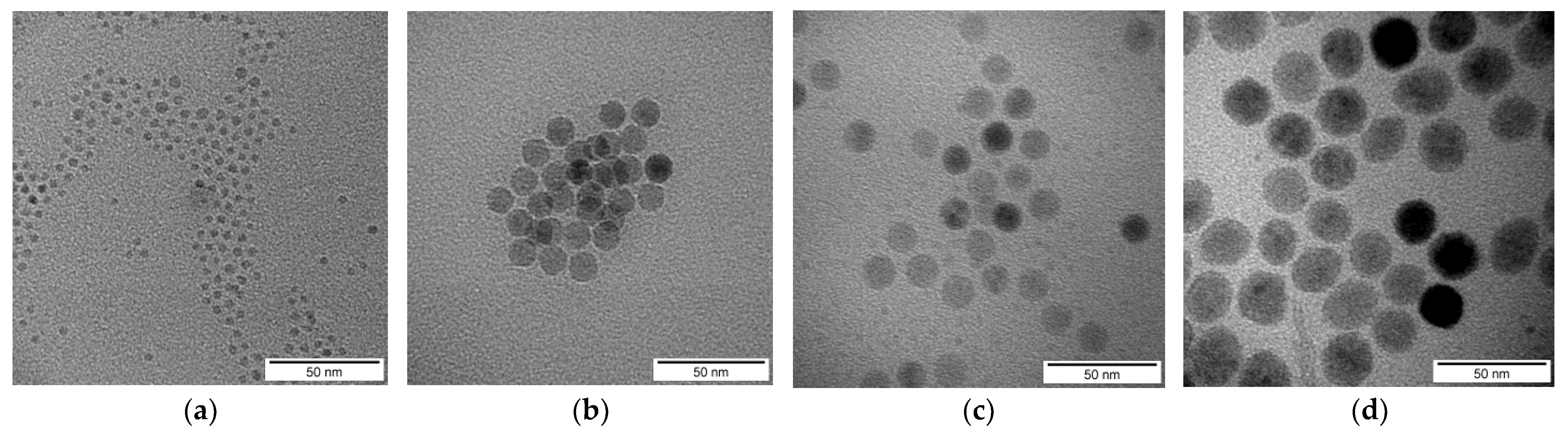 Nanomaterials 12 02463 g001 Nanomaterials 12 02463 g001