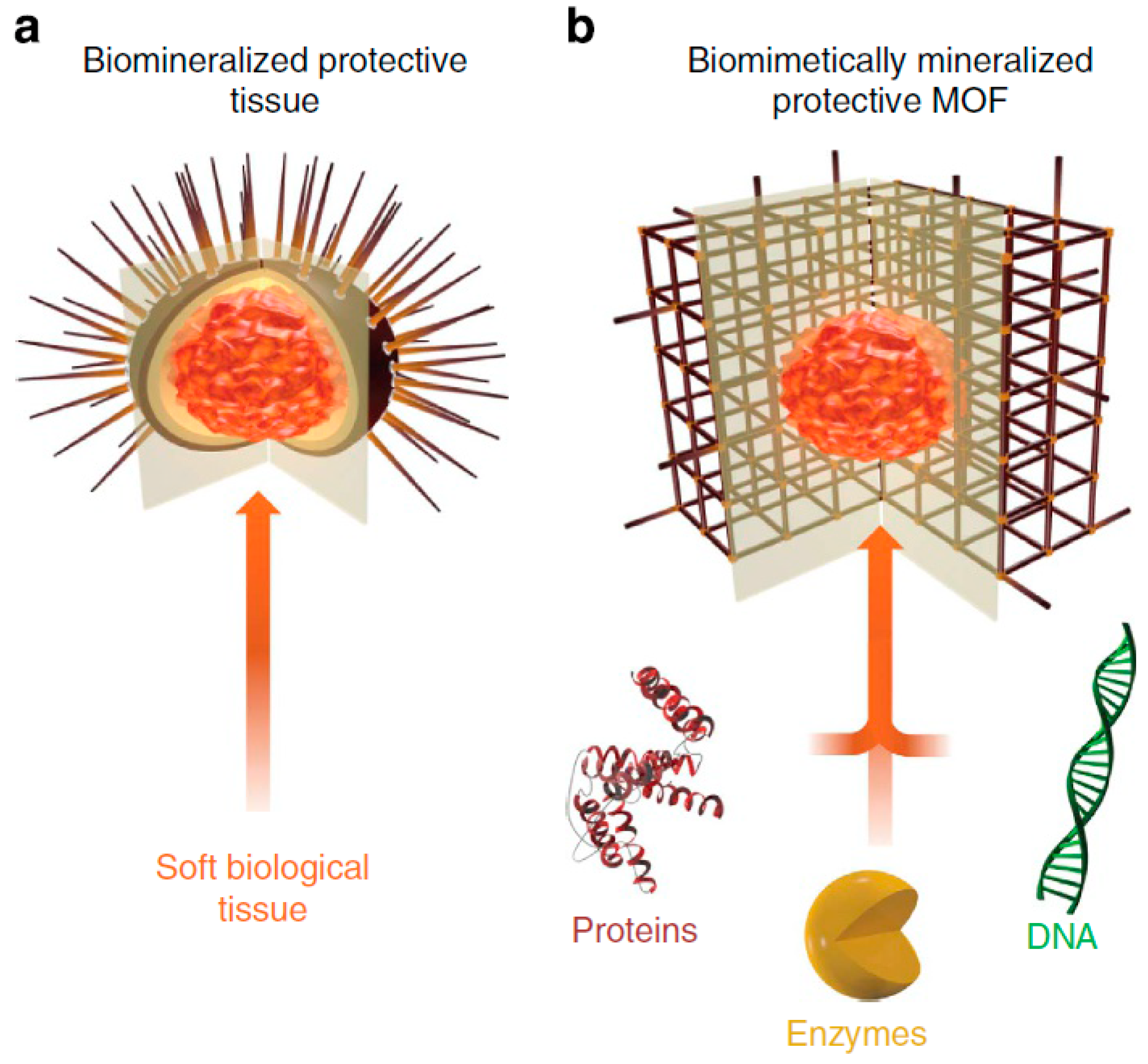 Nanomaterials 12 02485 g010 Nanomaterials 12 02485 g010