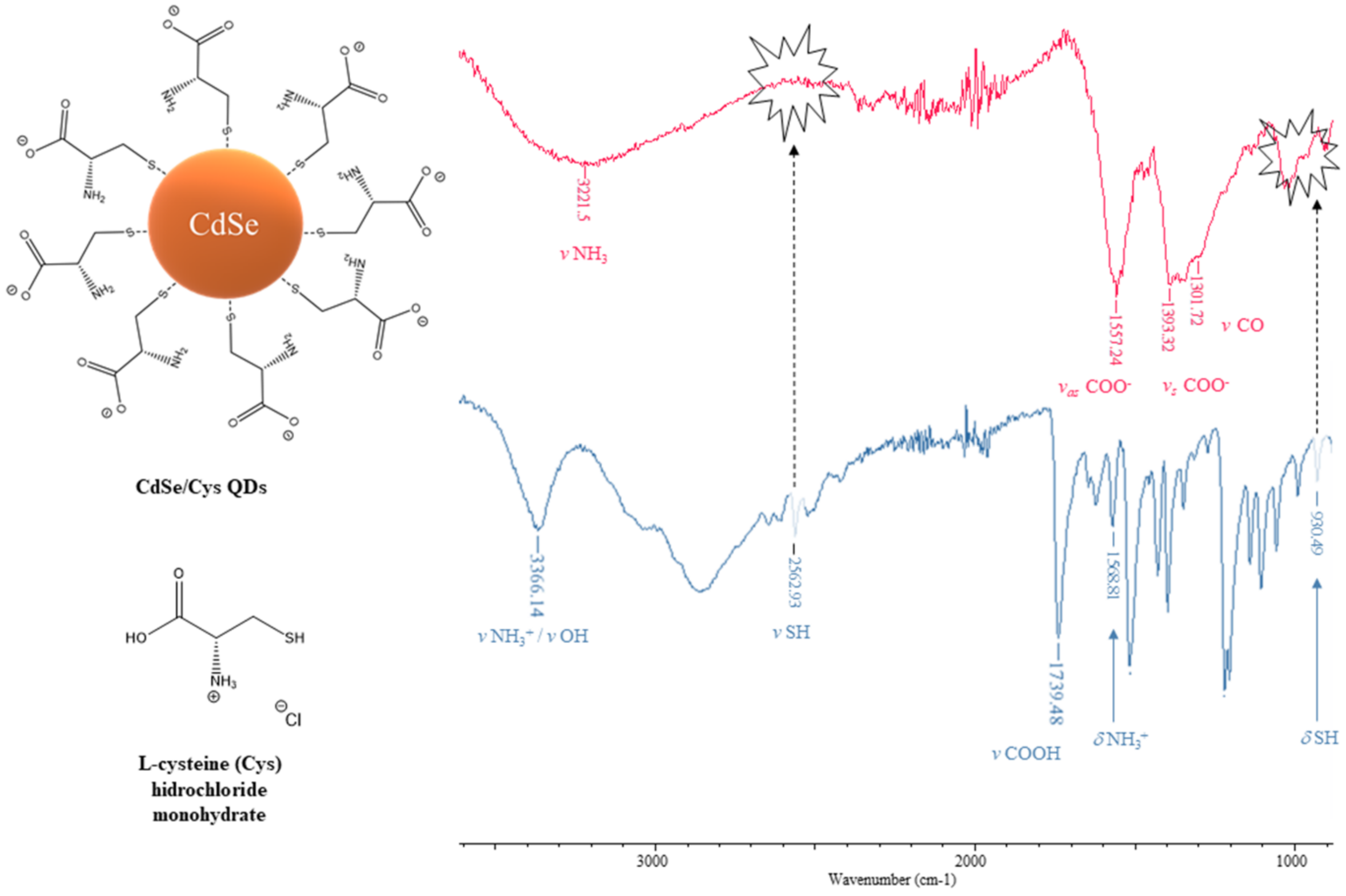 Nanomaterials 12 02501 g005