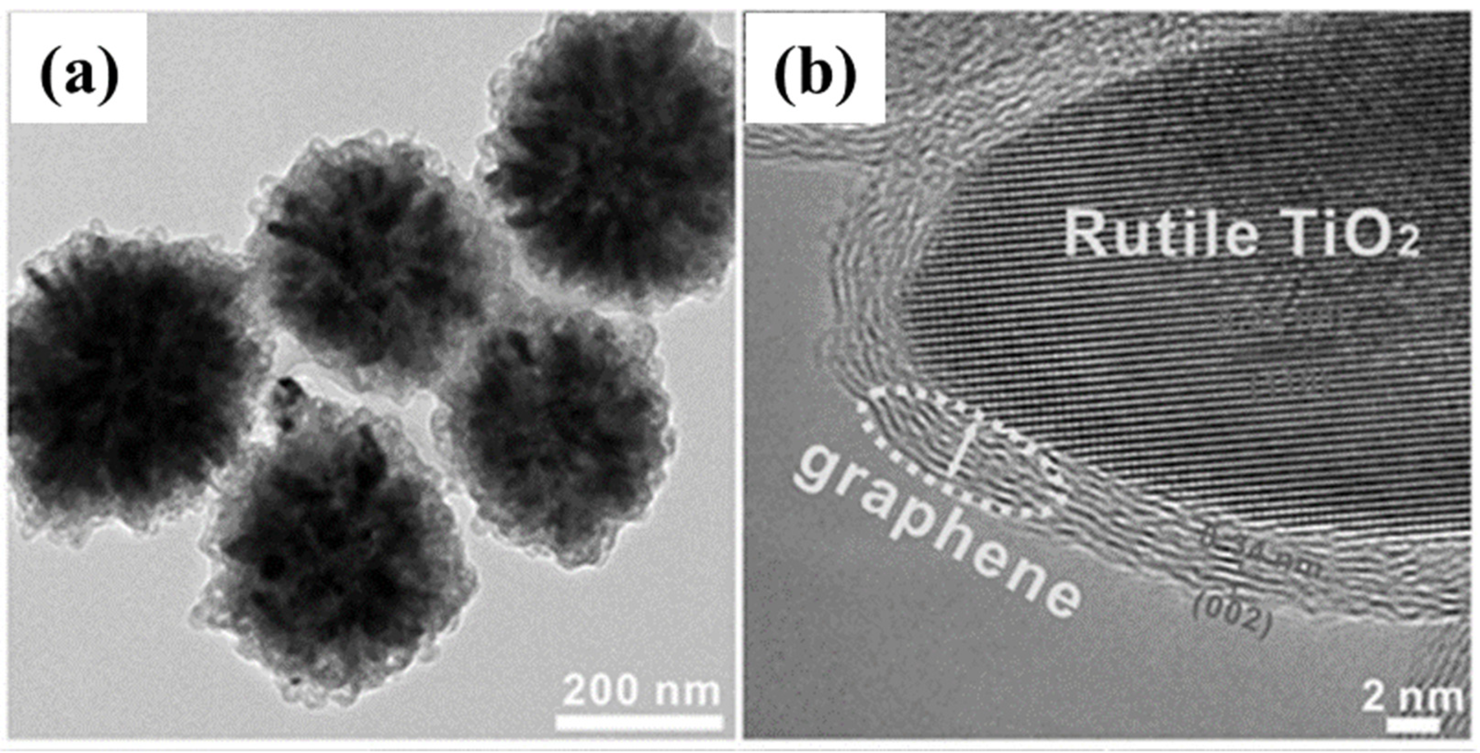 Nanomaterials 12 02515 g005 Nanomaterials 12 02515 g005