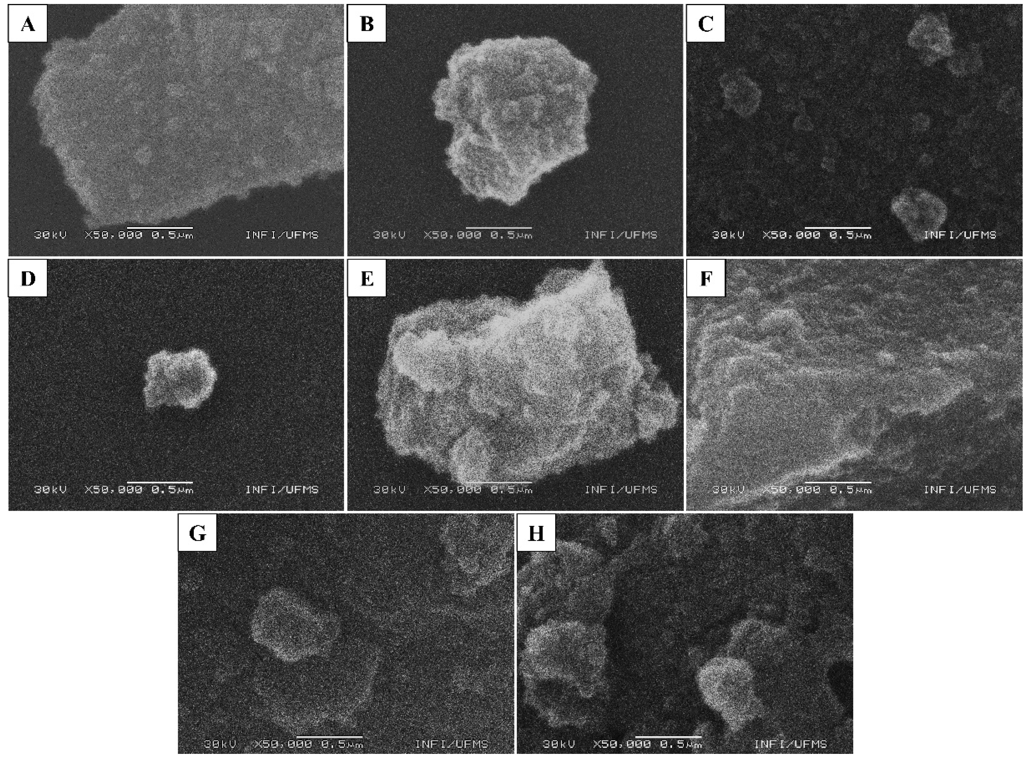 Nanomaterials 12 02538 g003