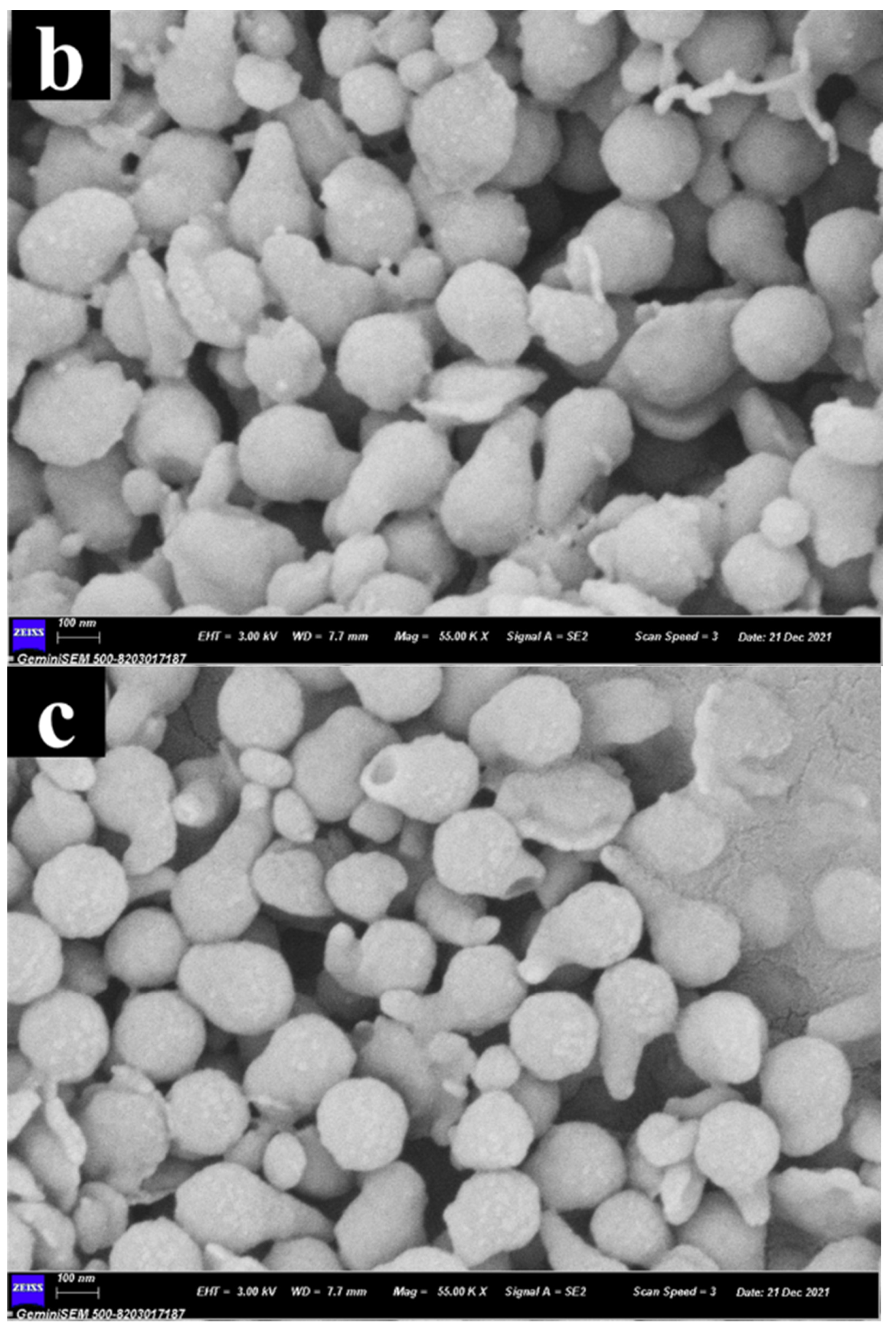 Nanomaterials 12 02561 g001b