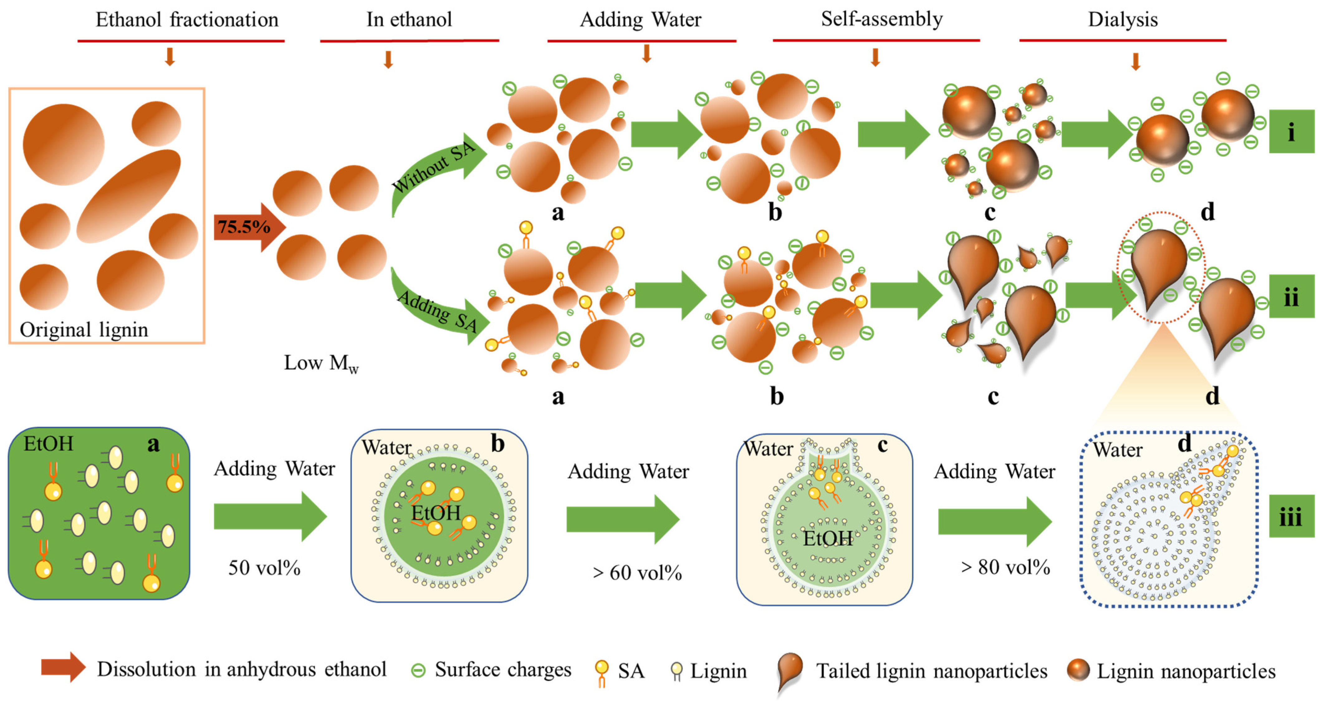 Nanomaterials 12 02561 g002