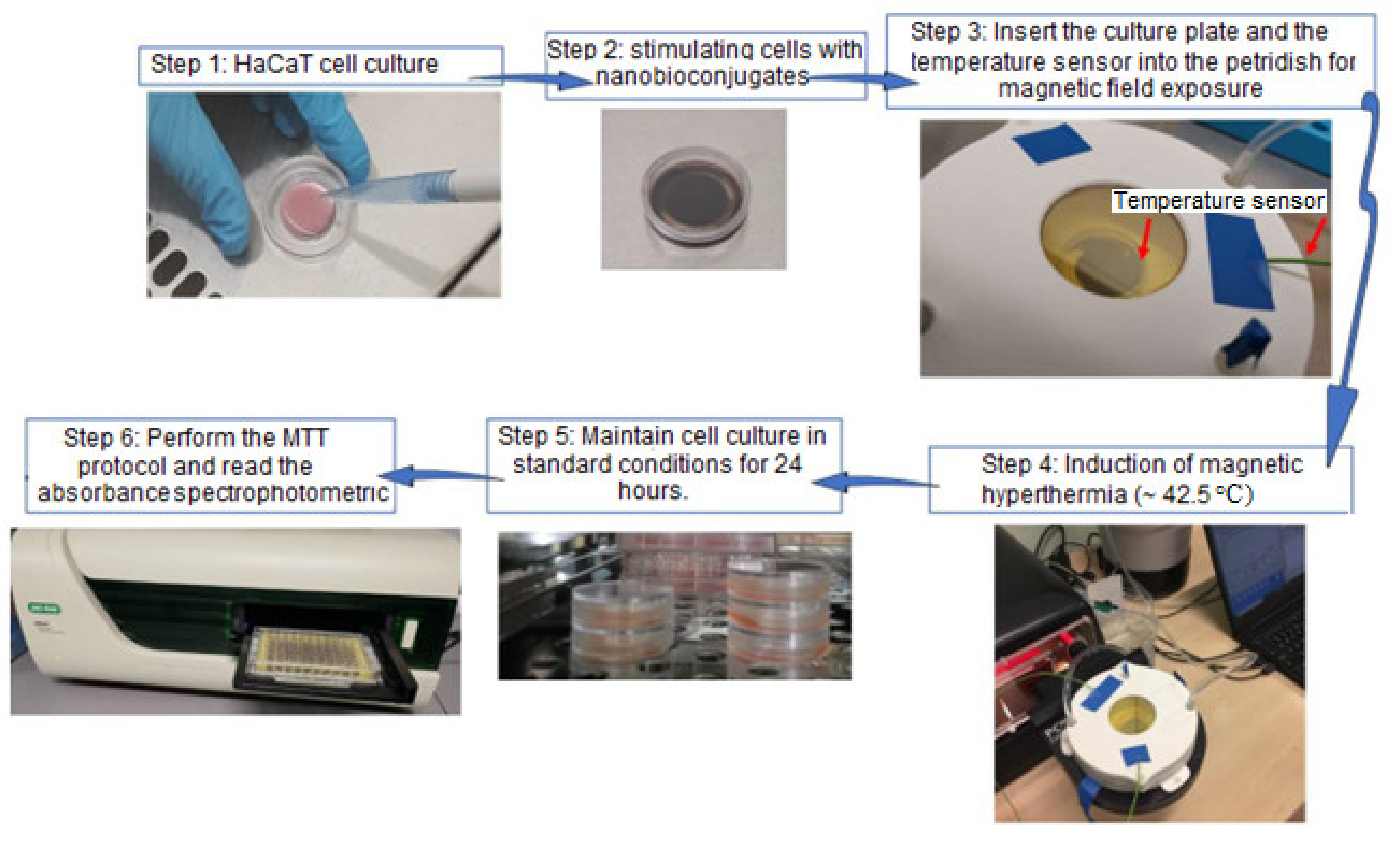 Nanomaterials 12 02577 g001