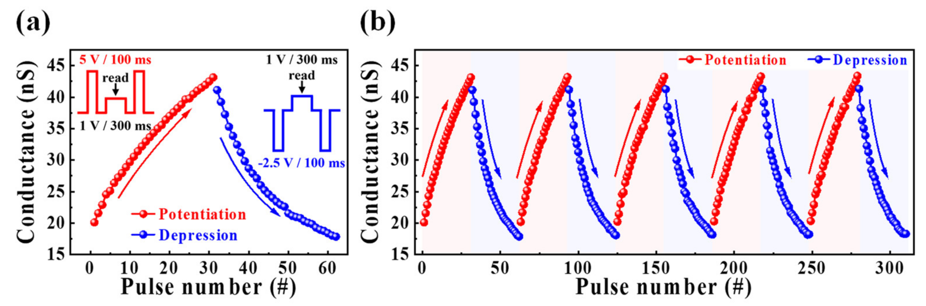 Nanomaterials 12 02596 g007