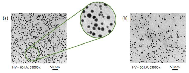 Nanomaterials 12 02597 g009