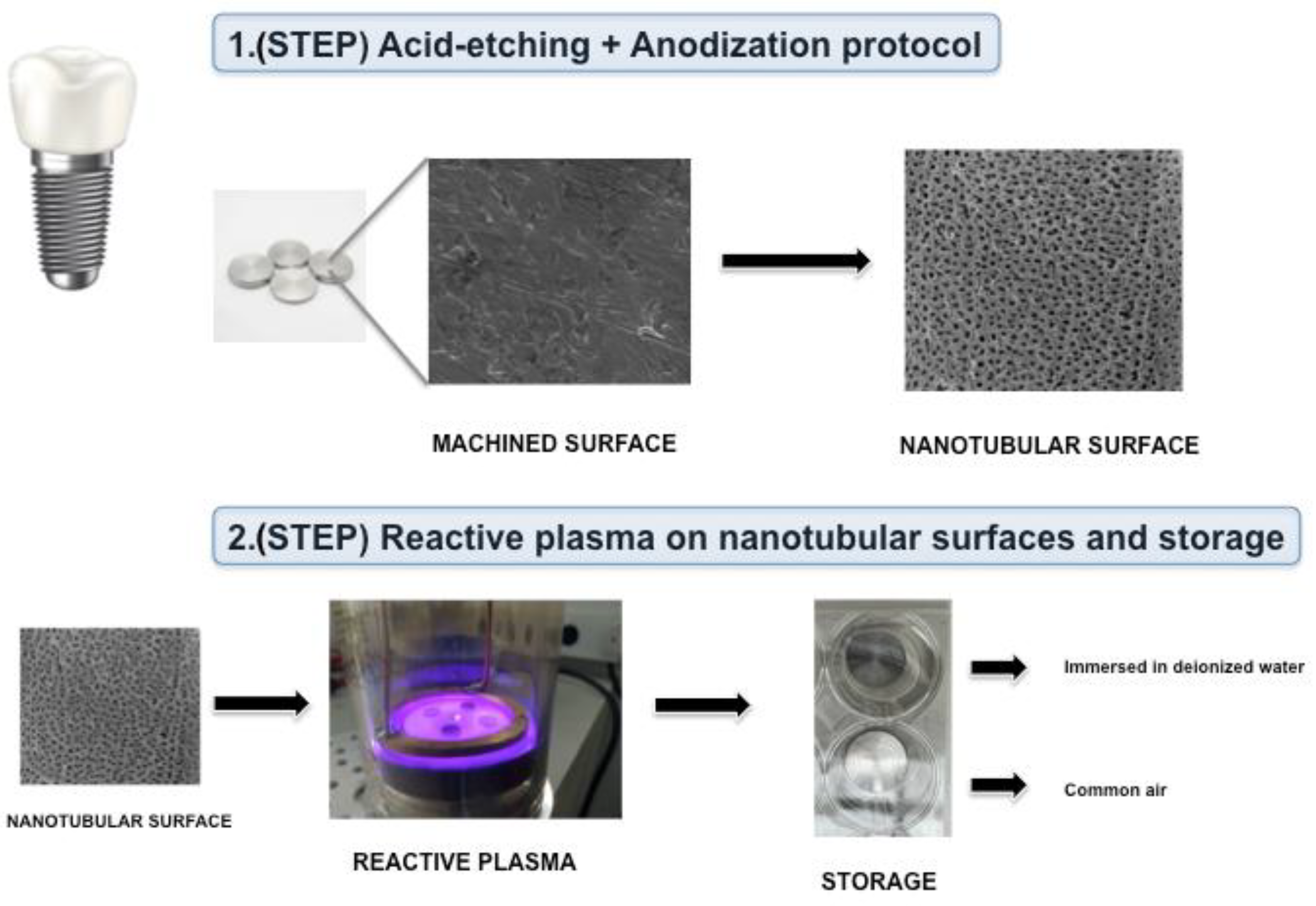 Nanomaterials 12 02603 g001