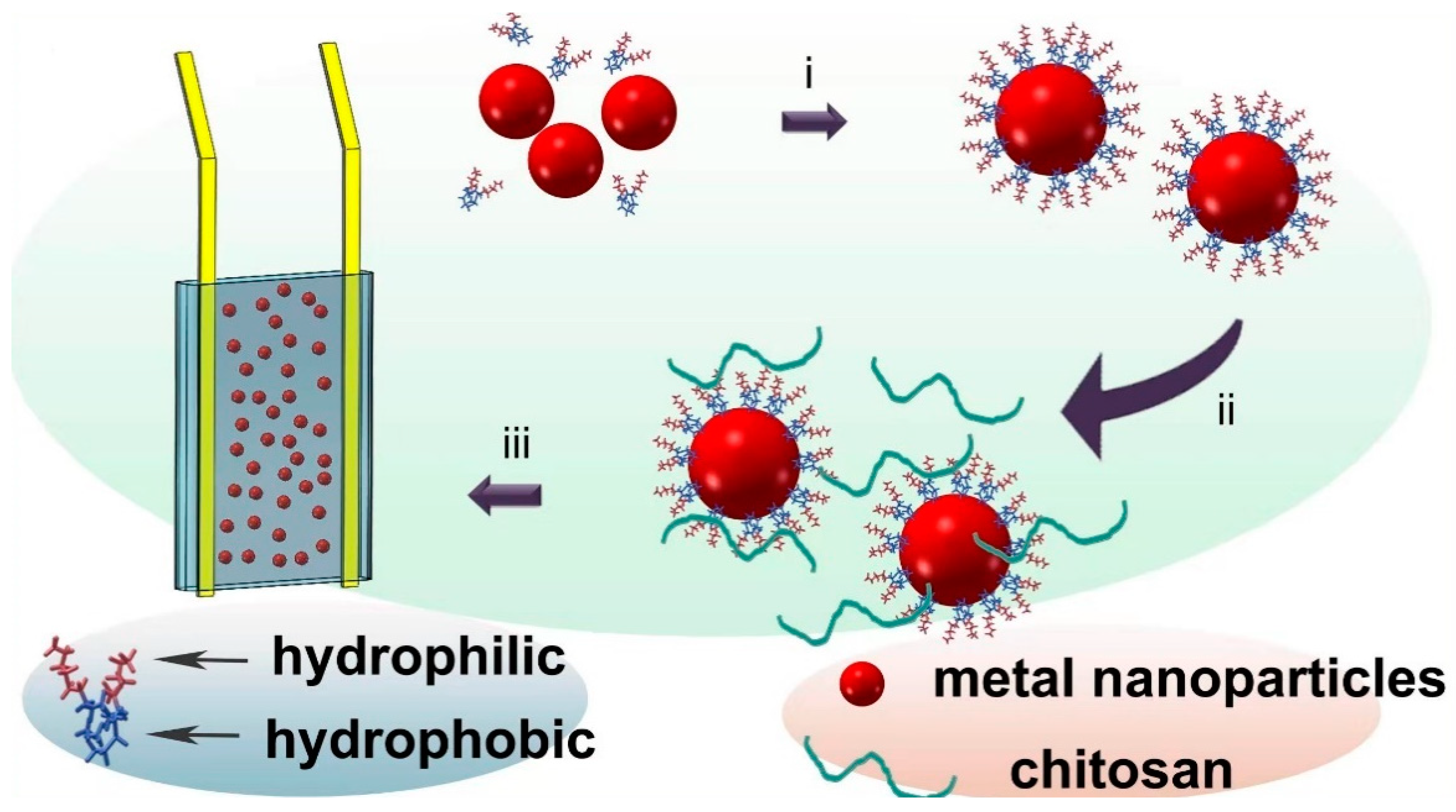 Nanomaterials 12 02629 g001