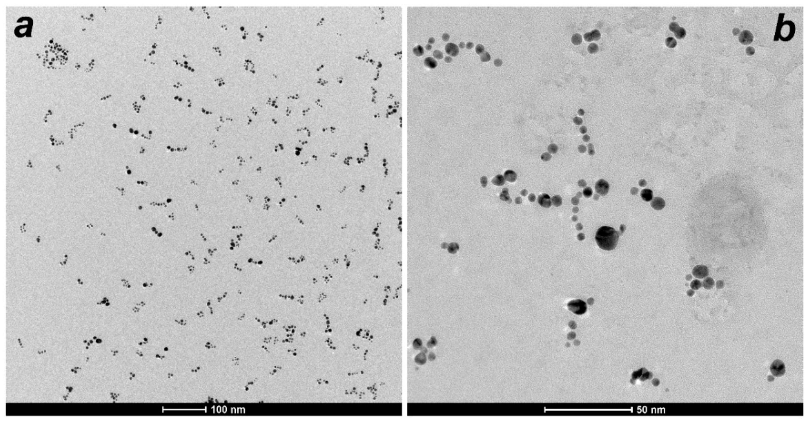 Nanomaterials 12 02655 g002