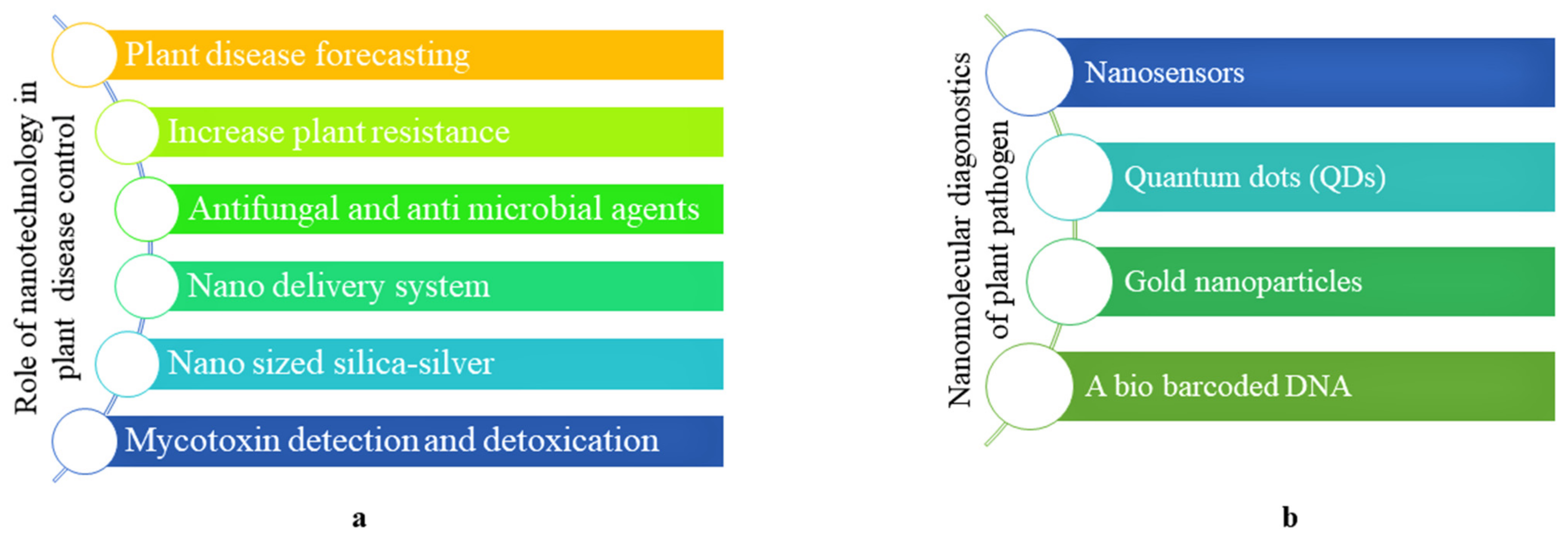 Nanomaterials 12 02667 g004 Nanomaterials 12 02667 g004
