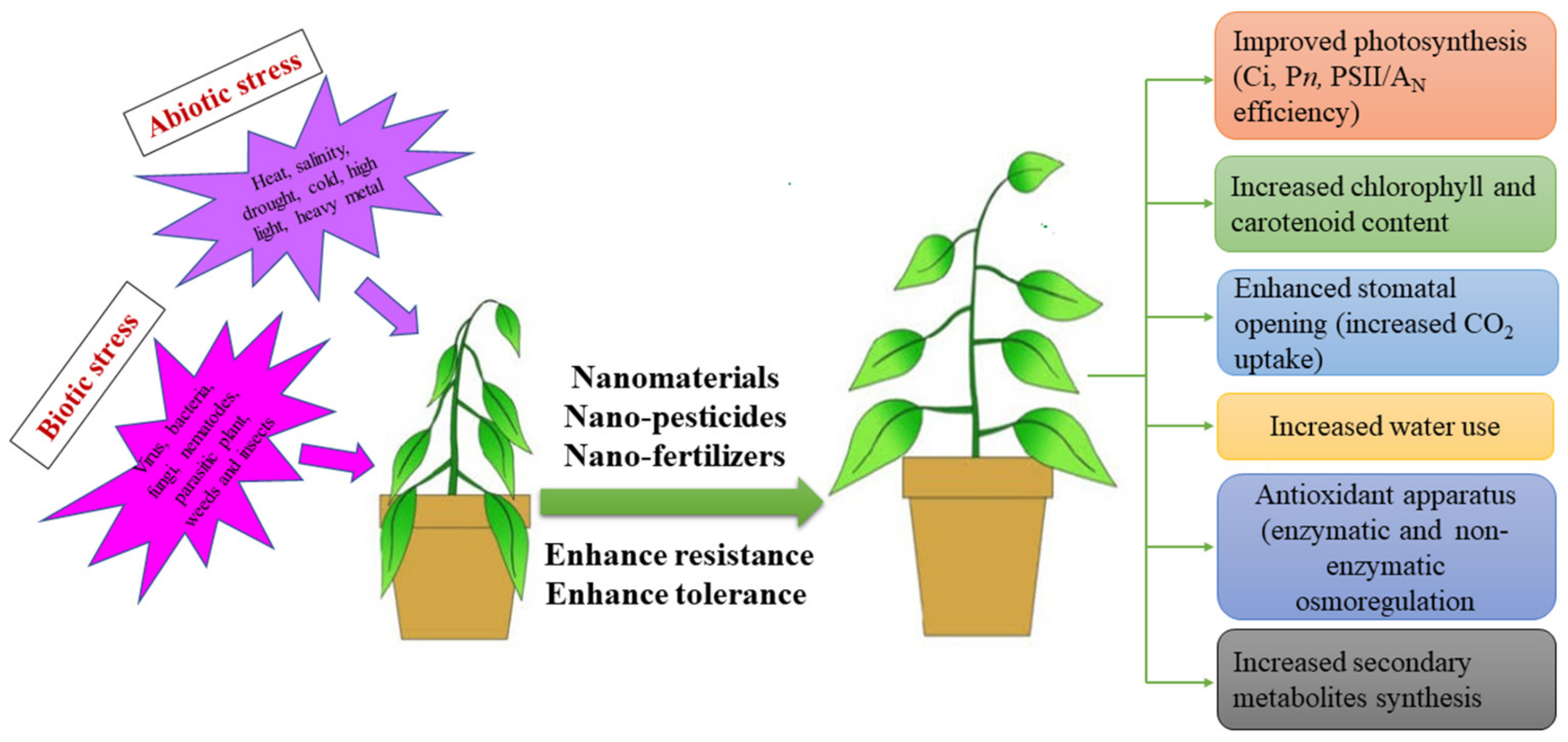 Nanomaterials 12 02667 g007 Nanomaterials 12 02667 g007