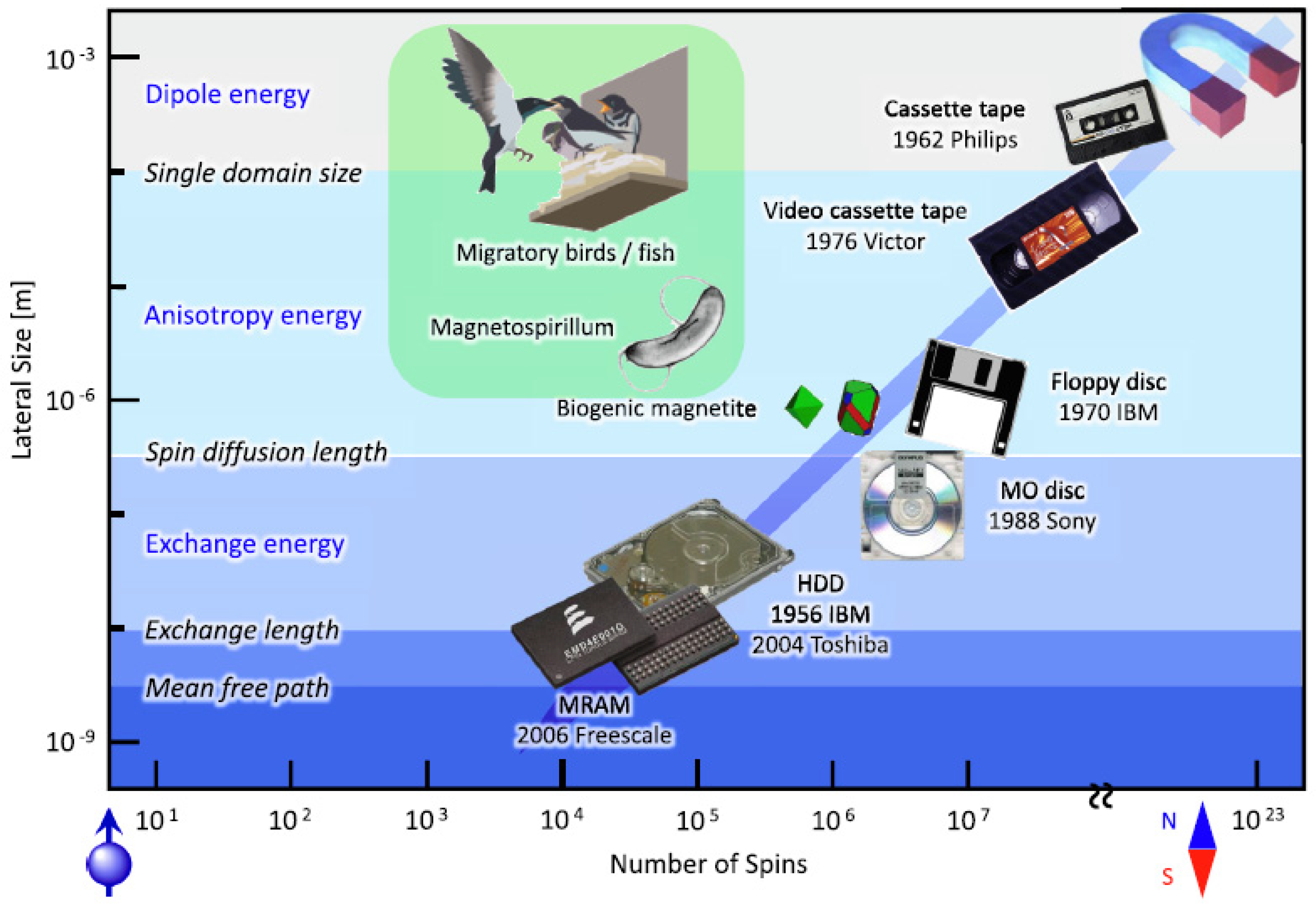 Nanomaterials 12 02668 g005