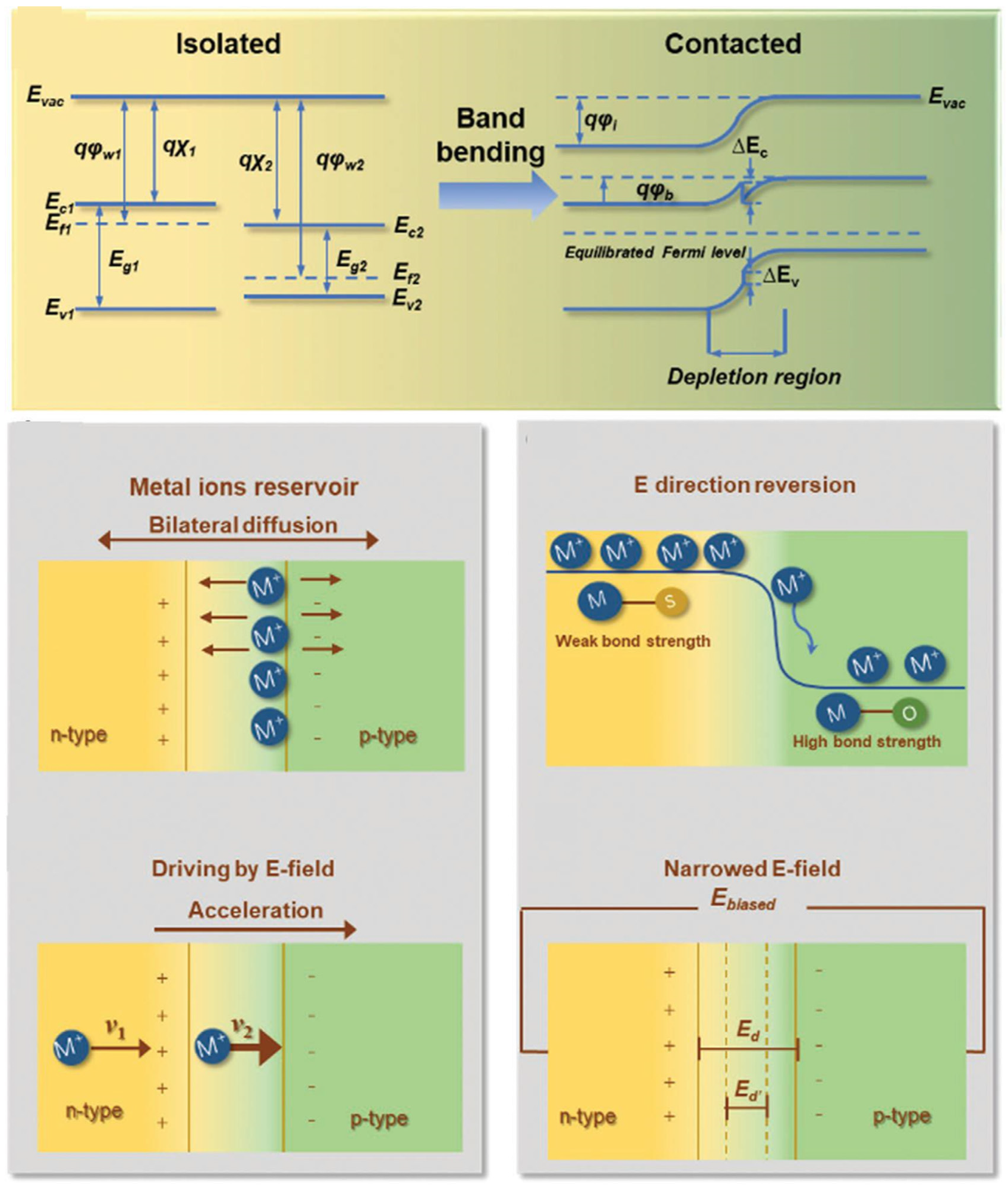 Nanomaterials 12 02668 g012