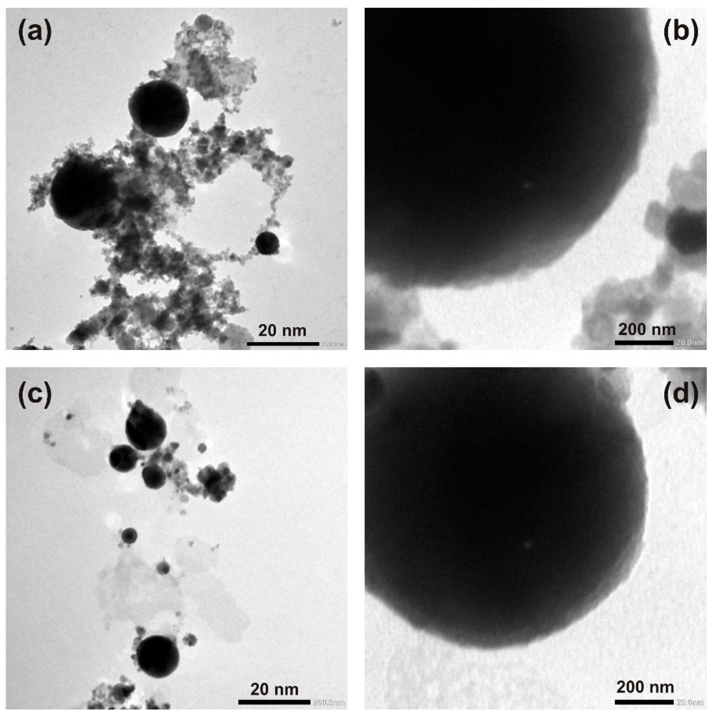 Nanomaterials 12 02677 g003