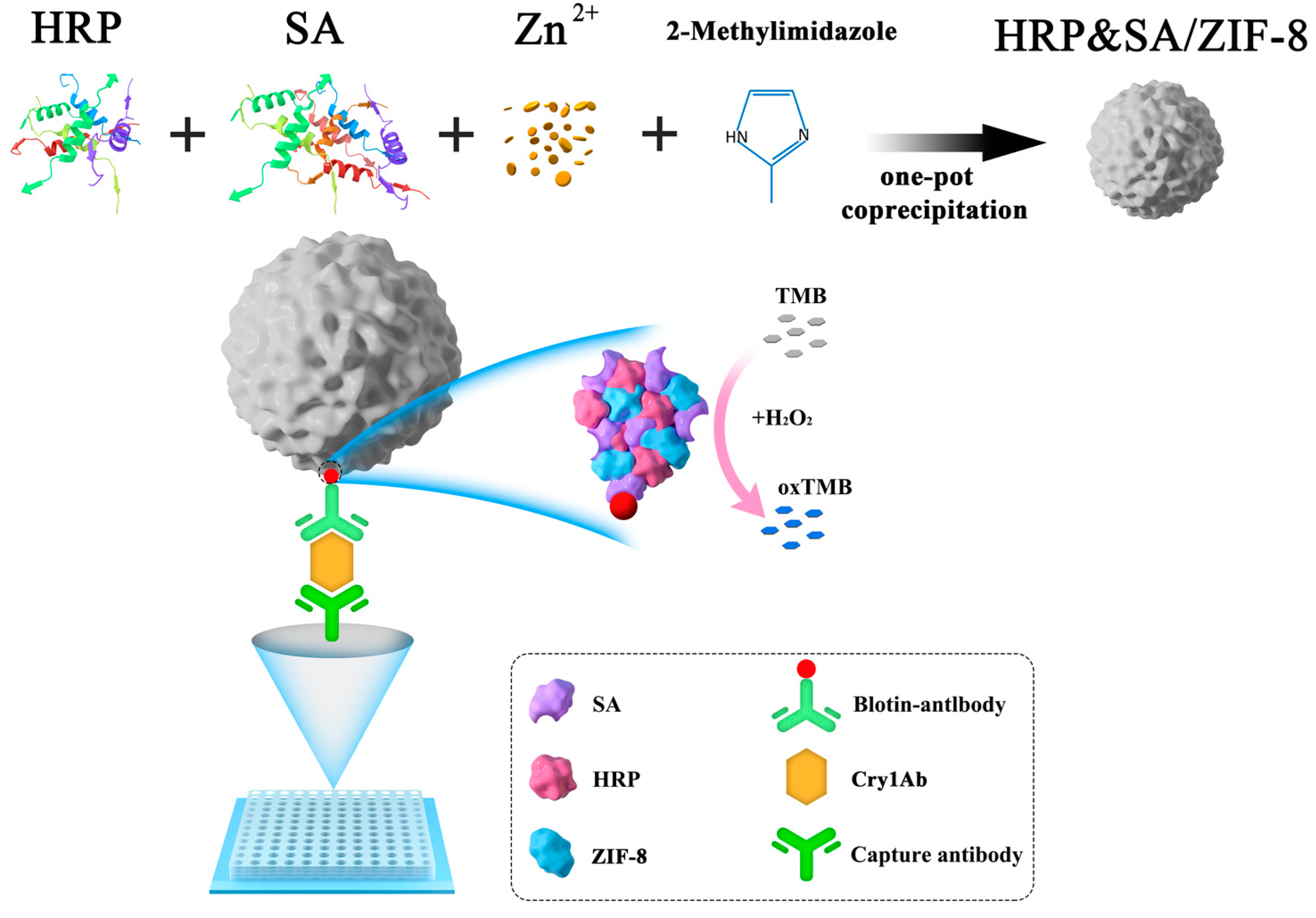 Nanomaterials 12 02679 sch001
