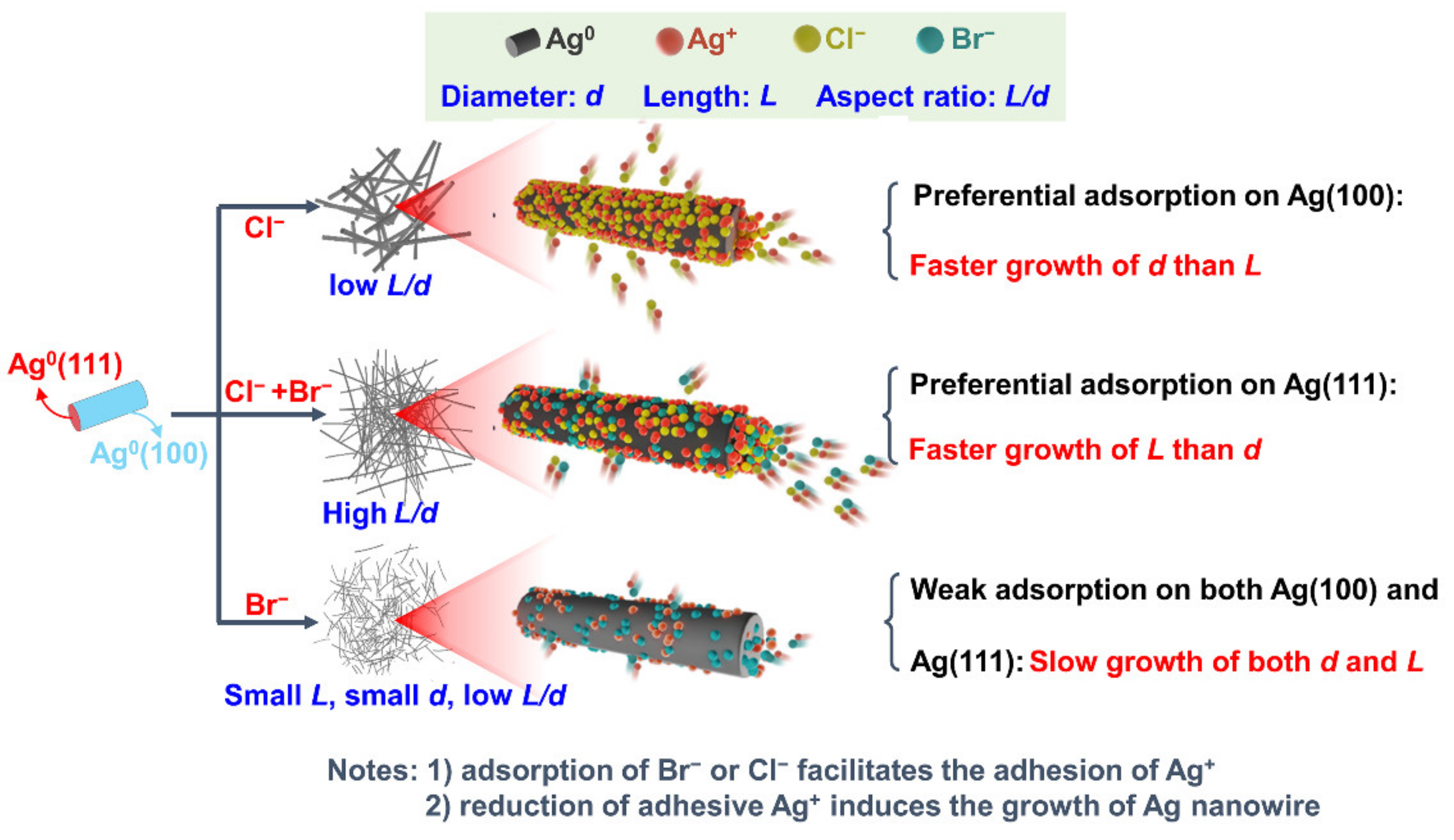 Nanomaterials 12 02681 g001