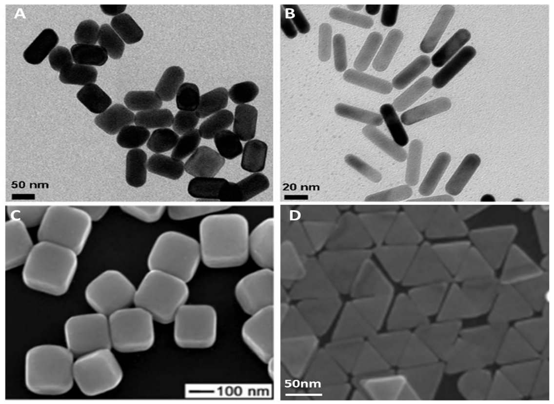 Nanomaterials 12 02688 g004