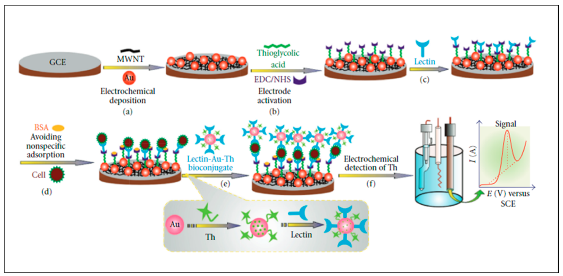 Nanomaterials 12 02688 g008
