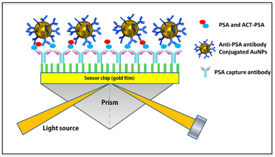 Nanomaterials 12 02688 g009