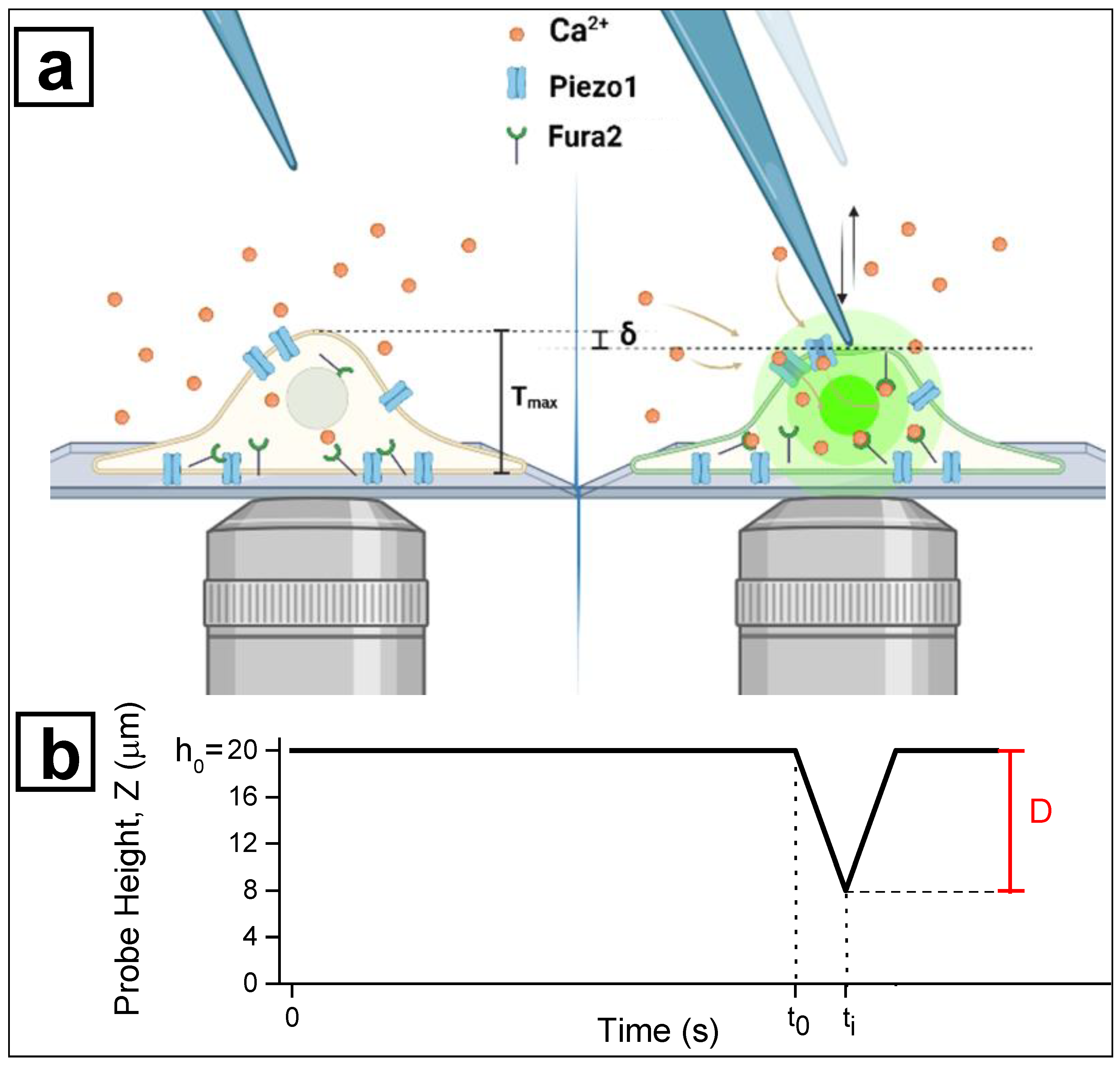 Nanomaterials 12 02691 g002