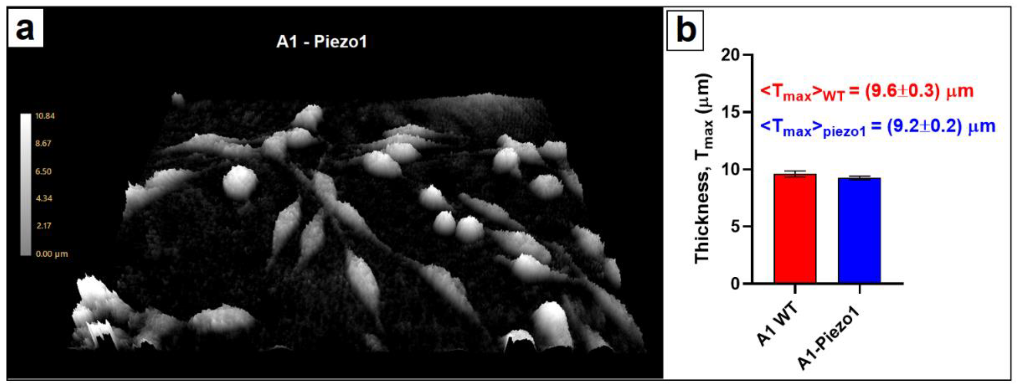 Nanomaterials 12 02691 g004