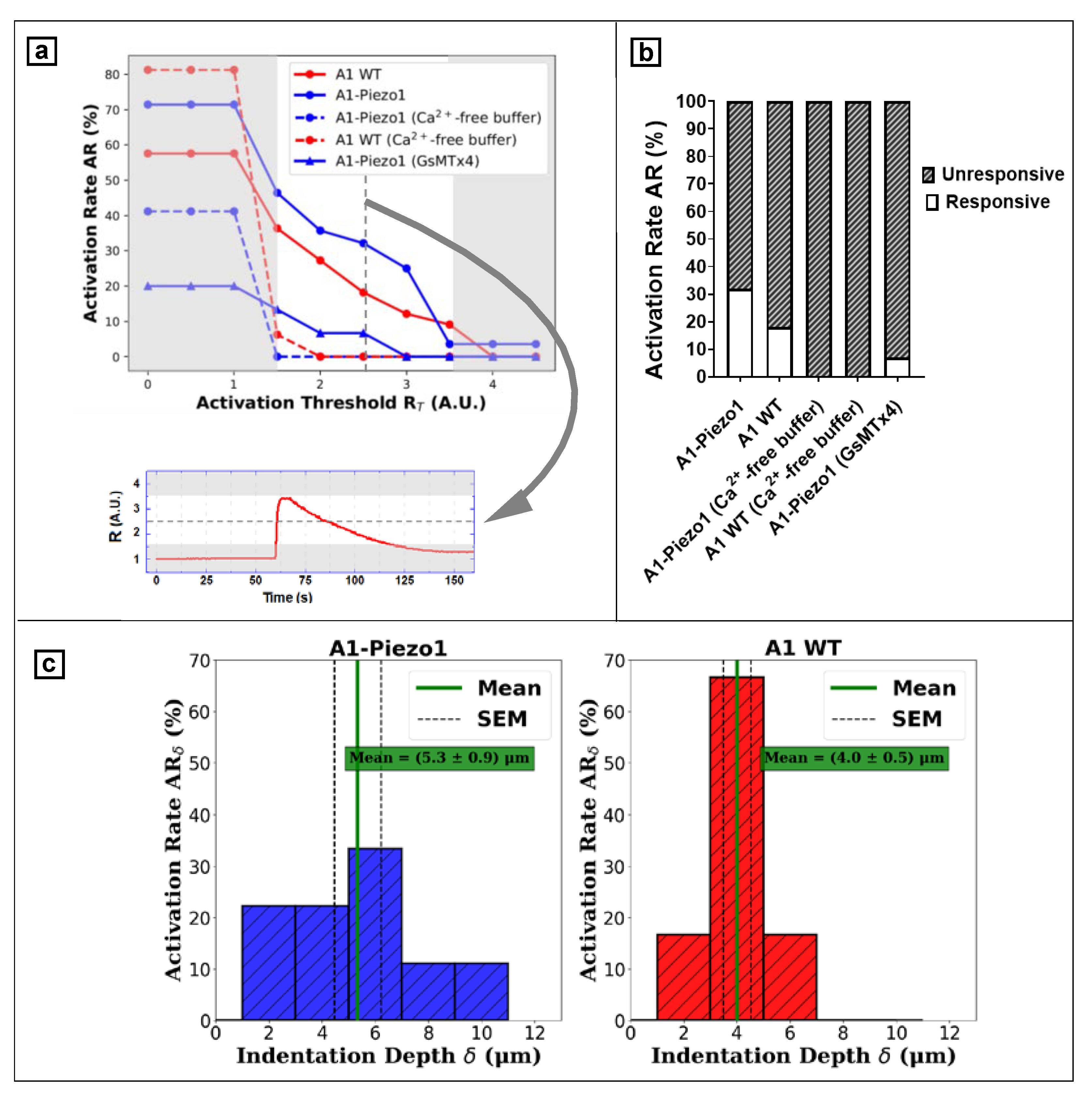 Nanomaterials 12 02691 g006