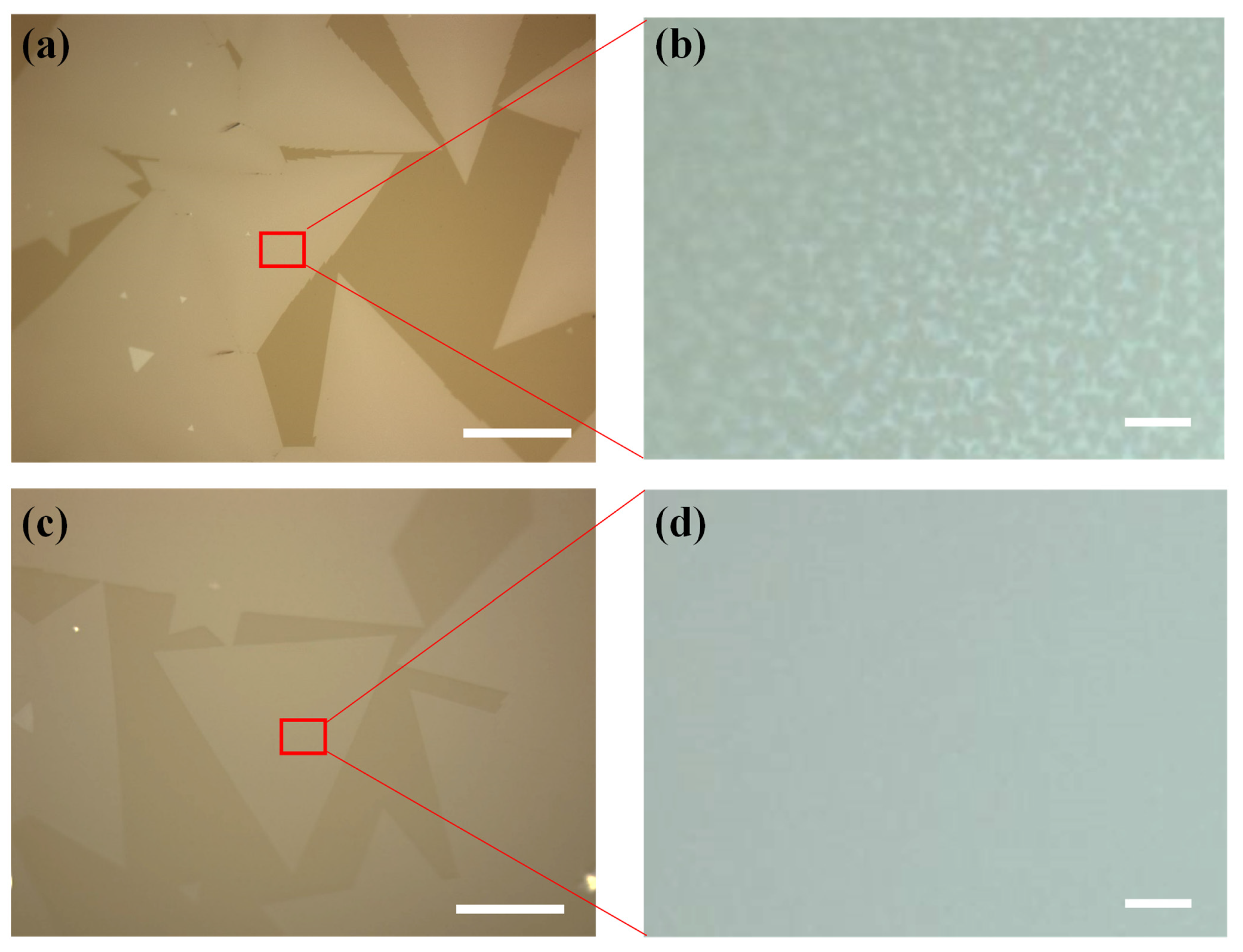Nanomaterials 12 02719 g003