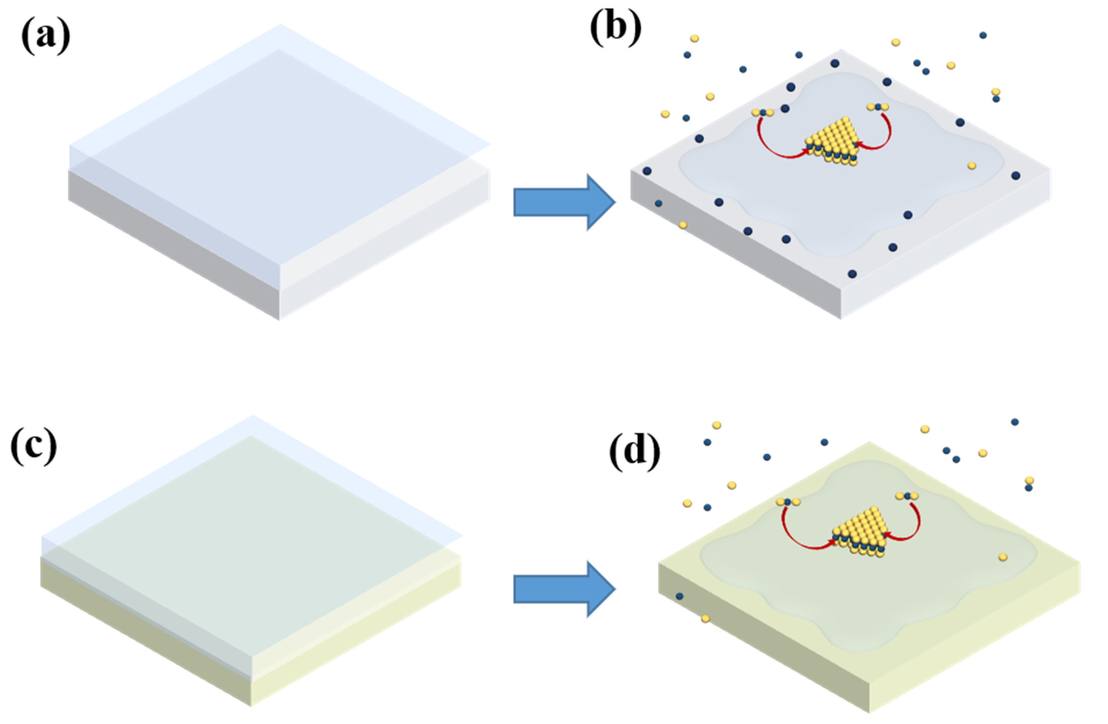 Nanomaterials 12 02719 g005