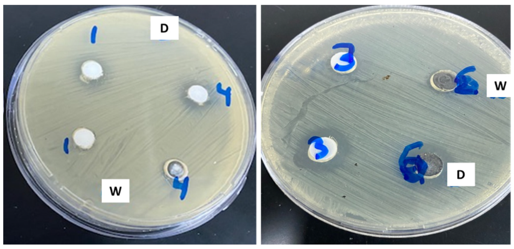 Nanomaterials 12 02749 g005