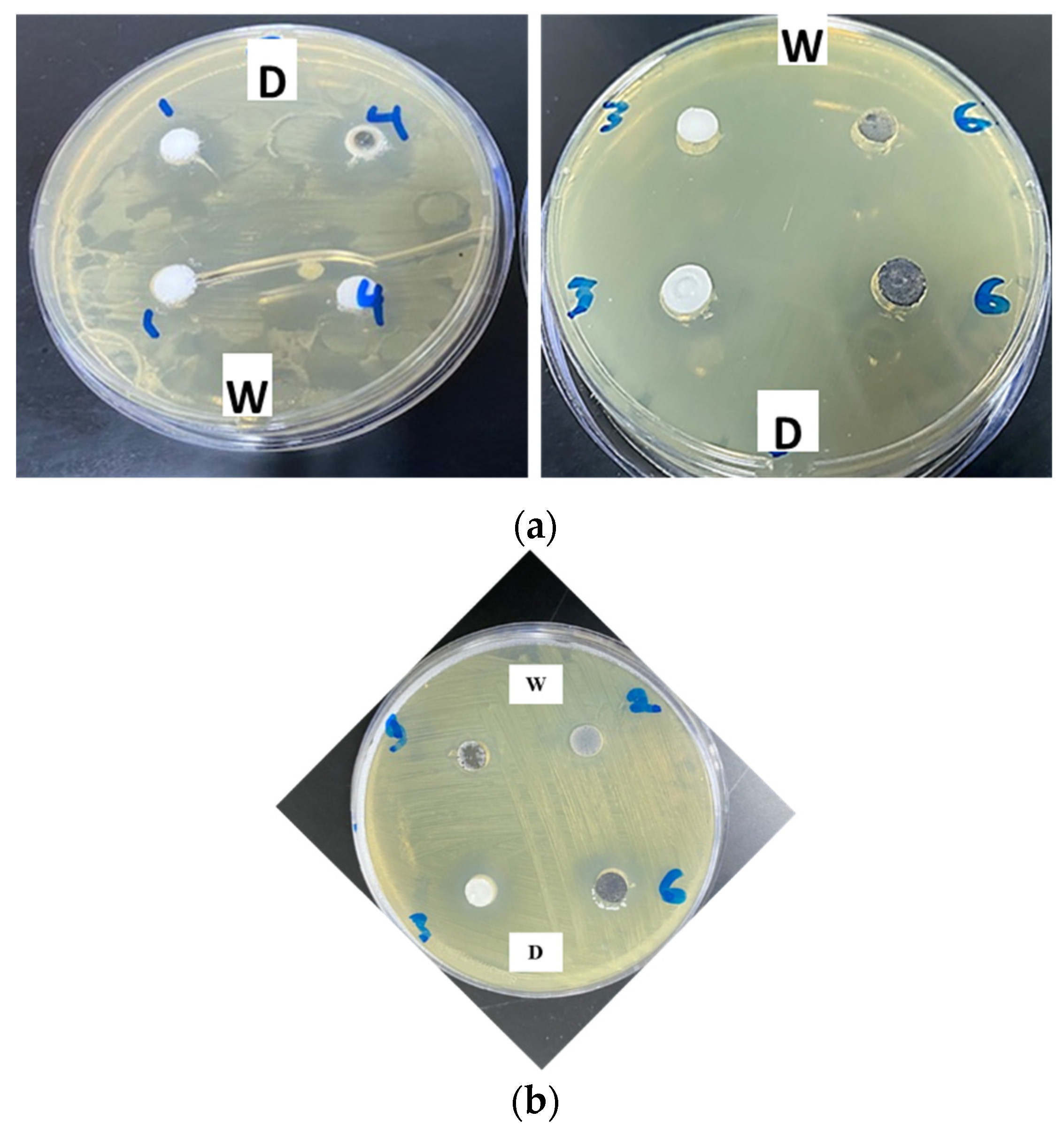 Nanomaterials 12 02749 g008