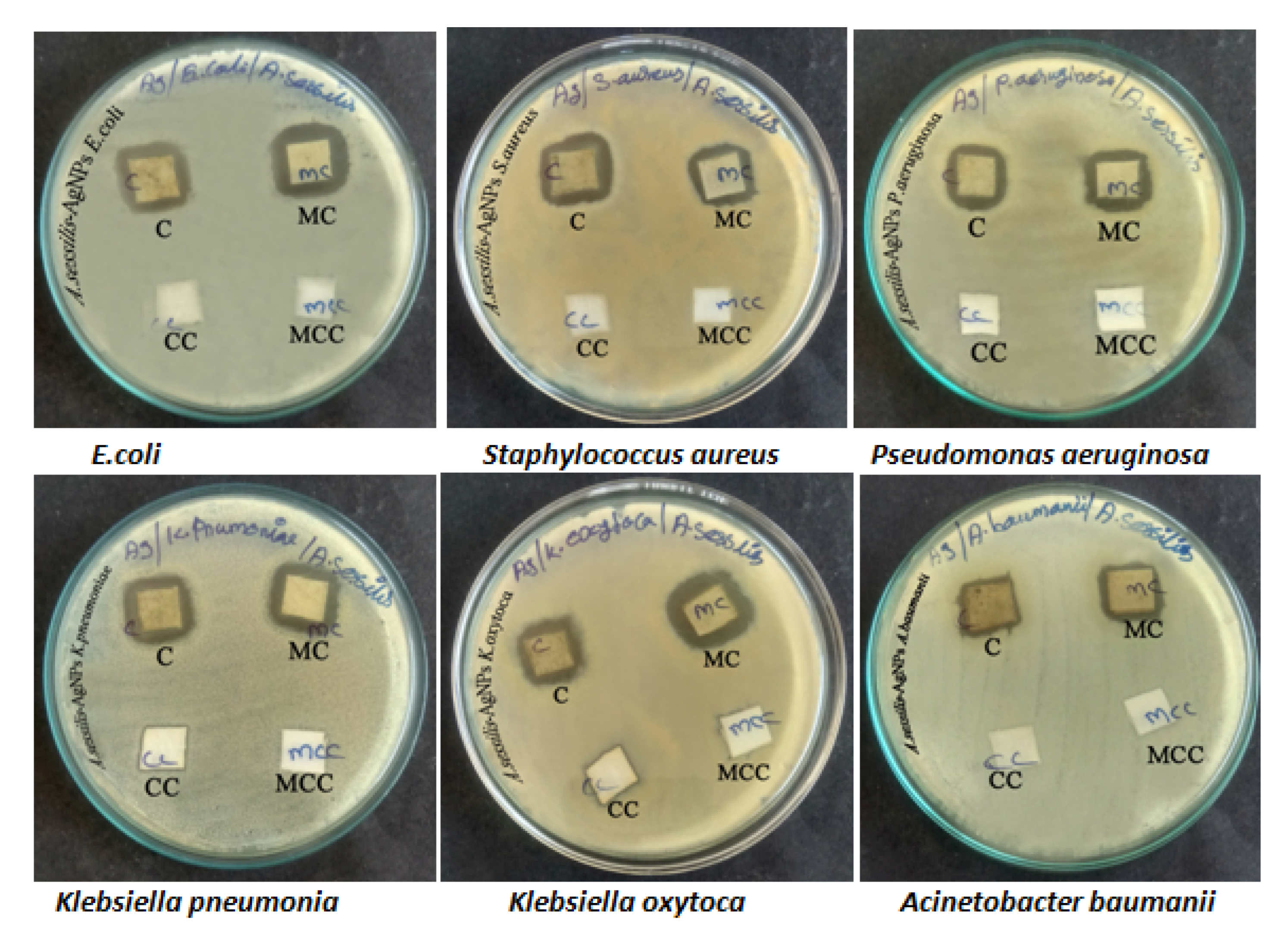 Nanomaterials 12 02759 g002