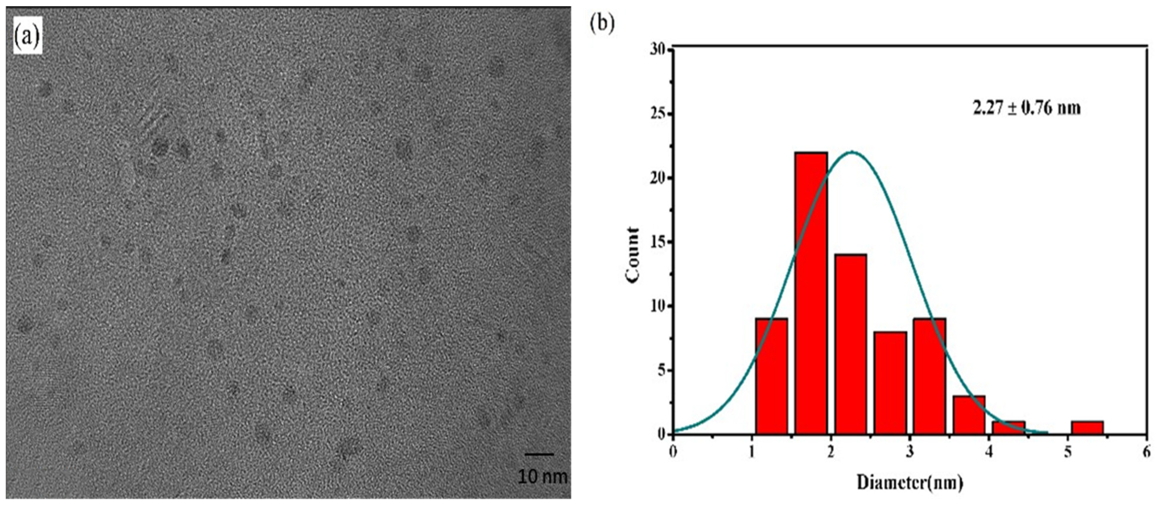 Nanomaterials 12 02787 g001