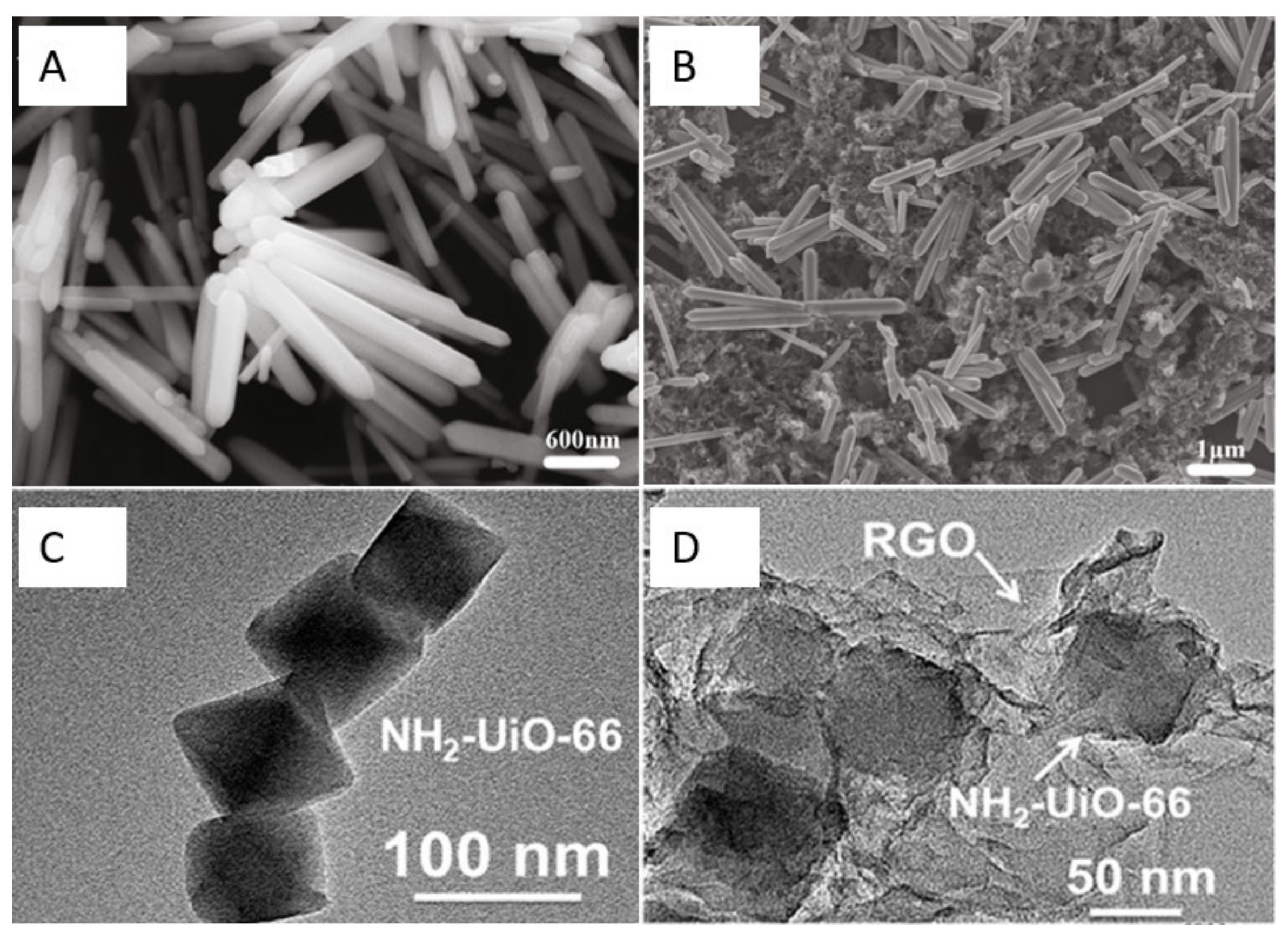 Nanomaterials 12 02789 g002