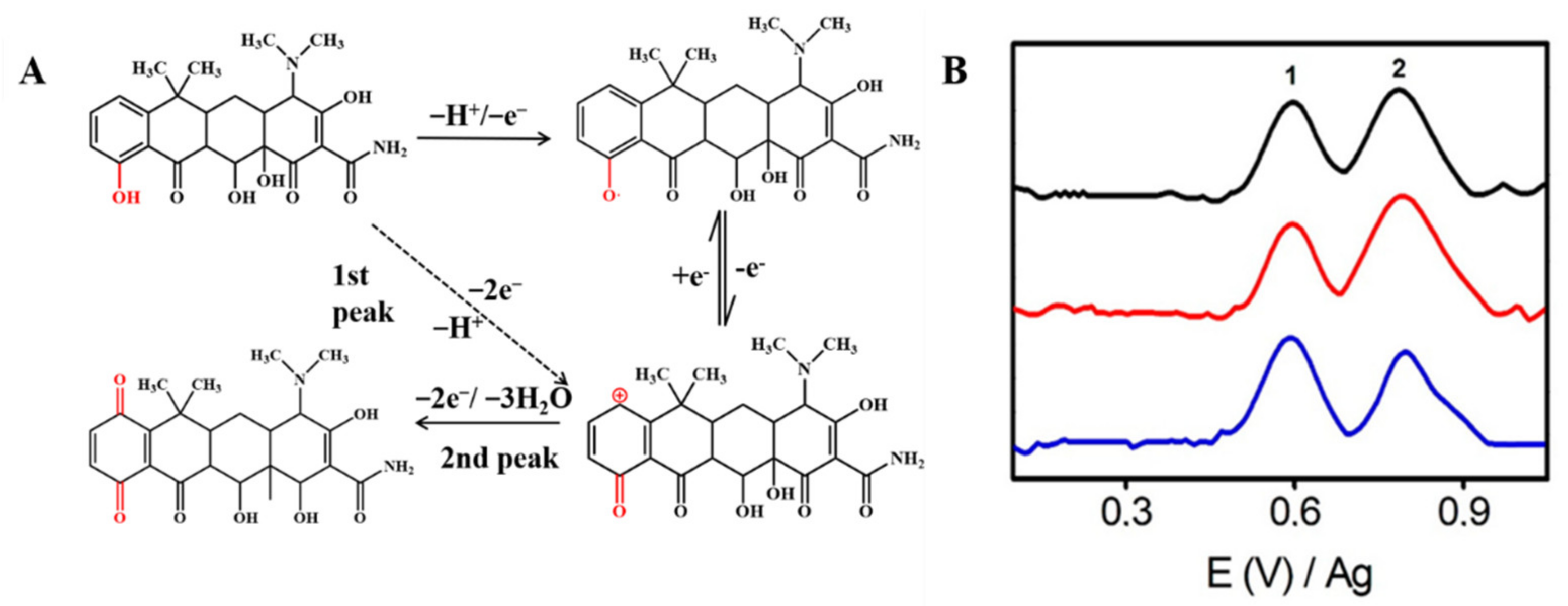 Nanomaterials 12 02789 g003
