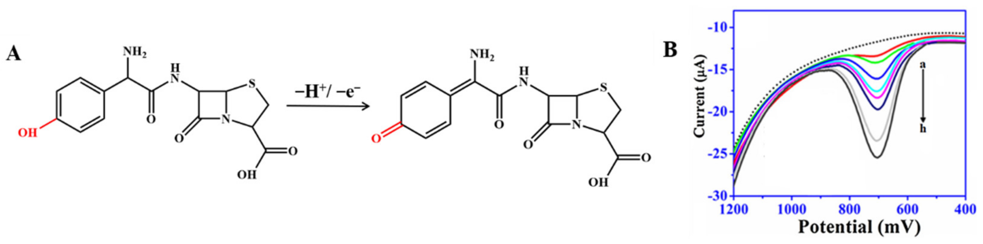Nanomaterials 12 02789 g004