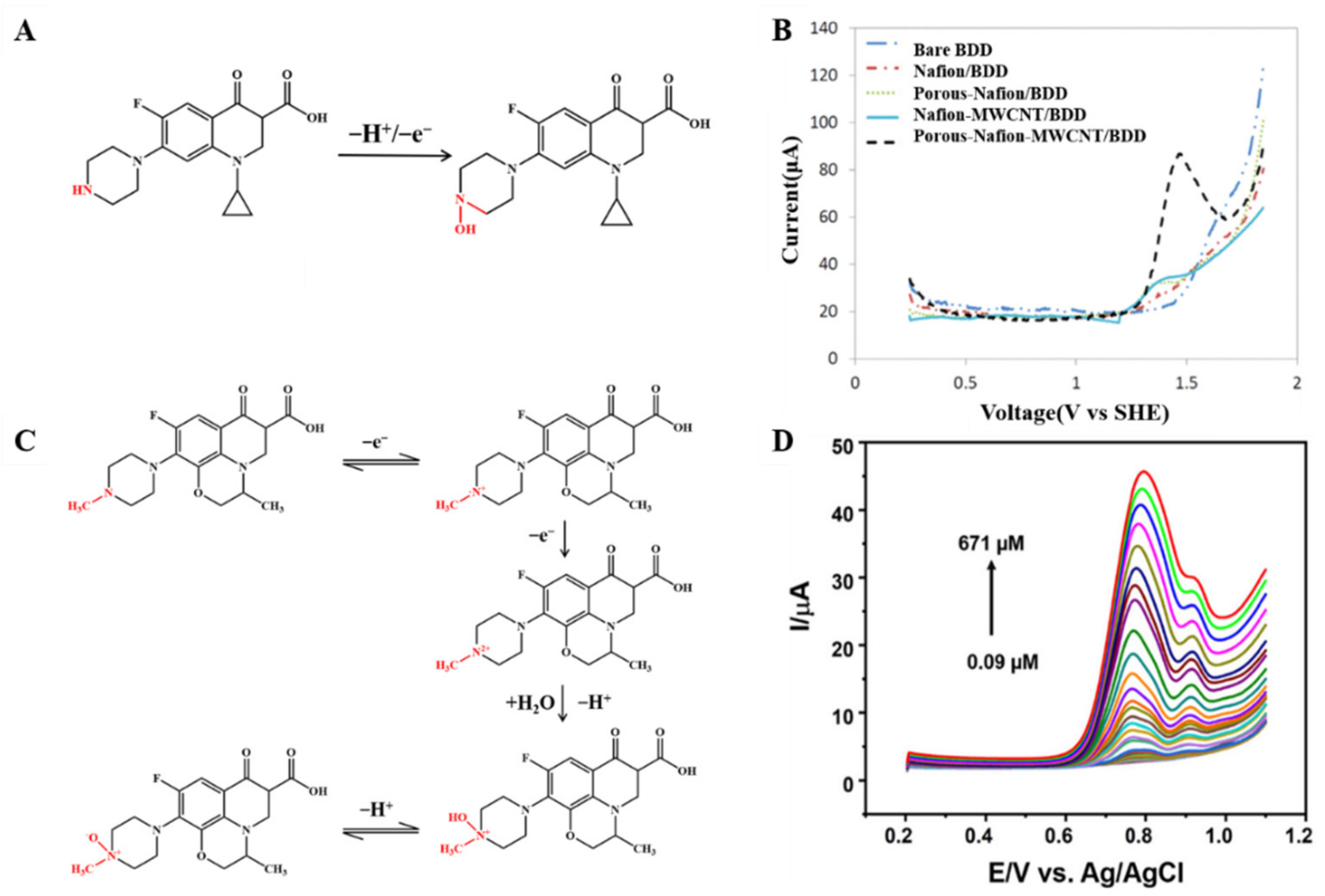 Nanomaterials 12 02789 g005