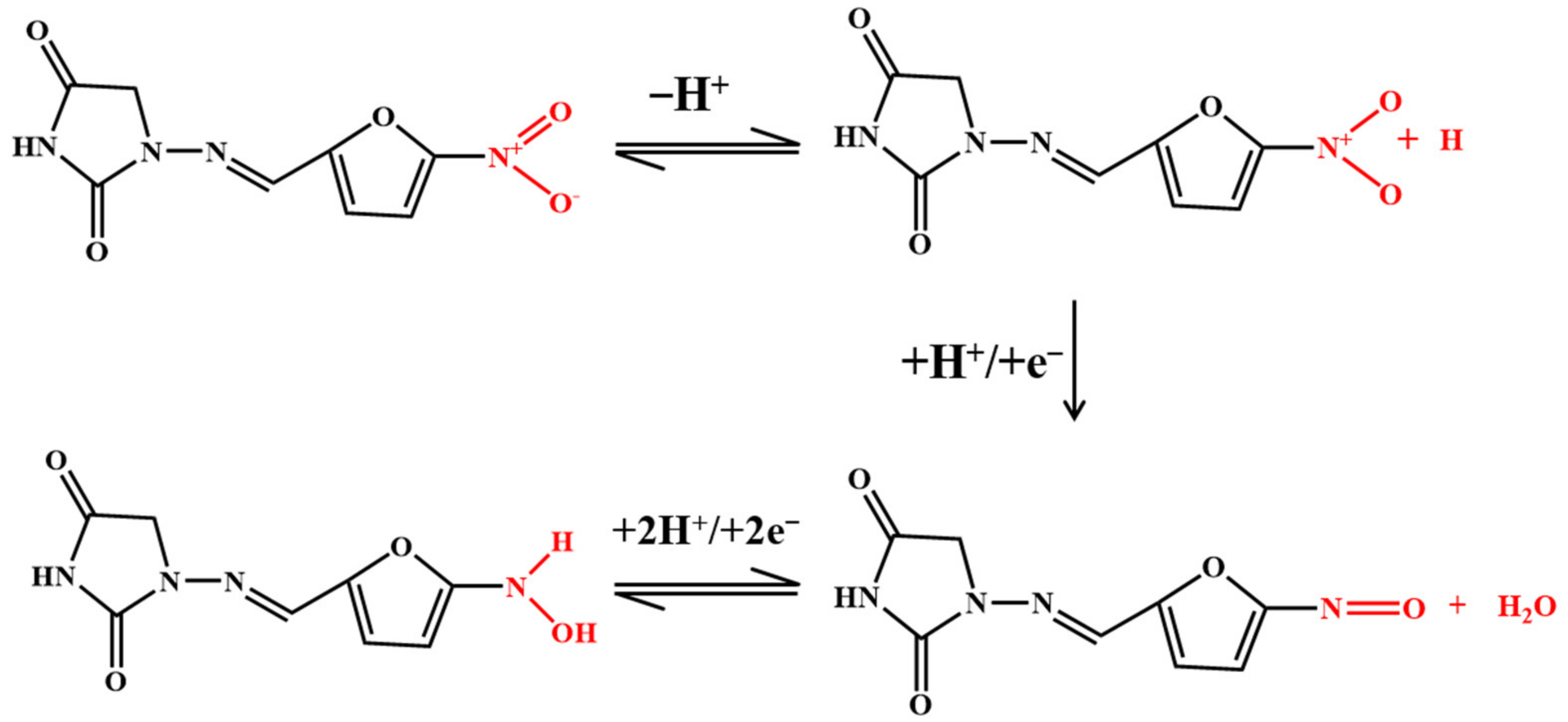 Nanomaterials 12 02789 g006