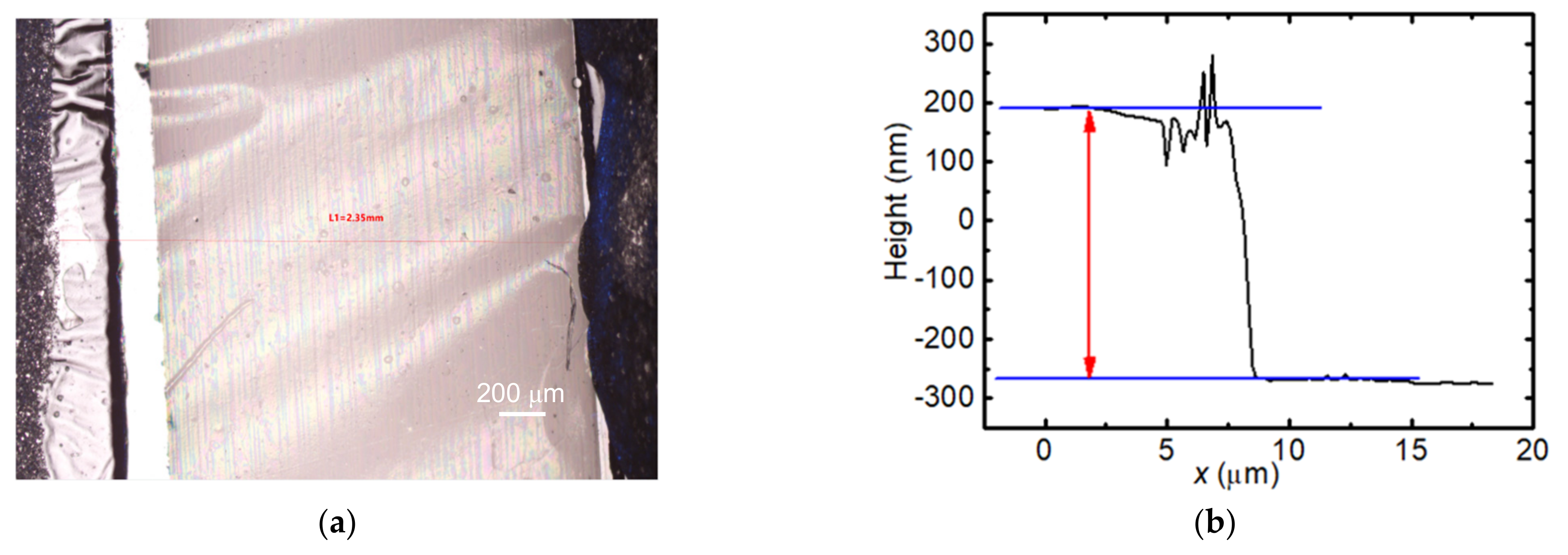 Nanomaterials 12 02799 g001