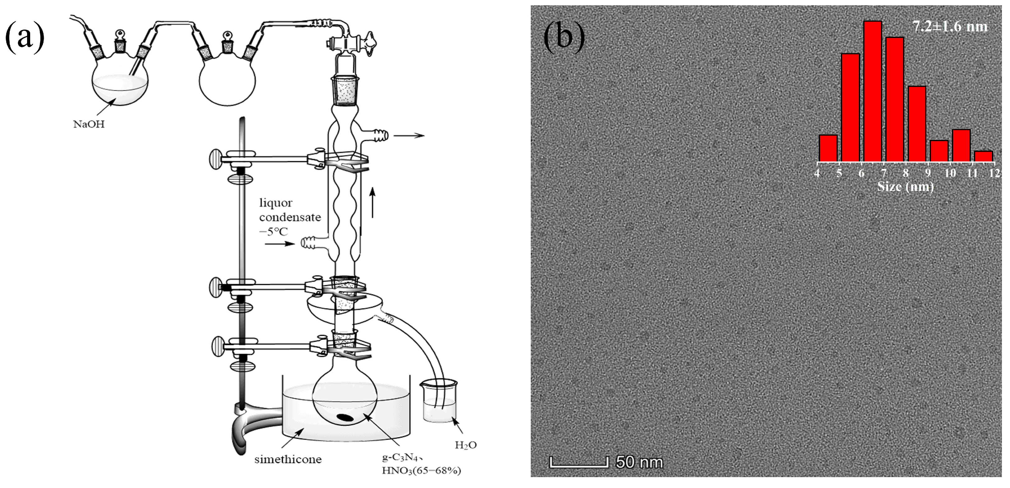 Nanomaterials 12 02804 g001