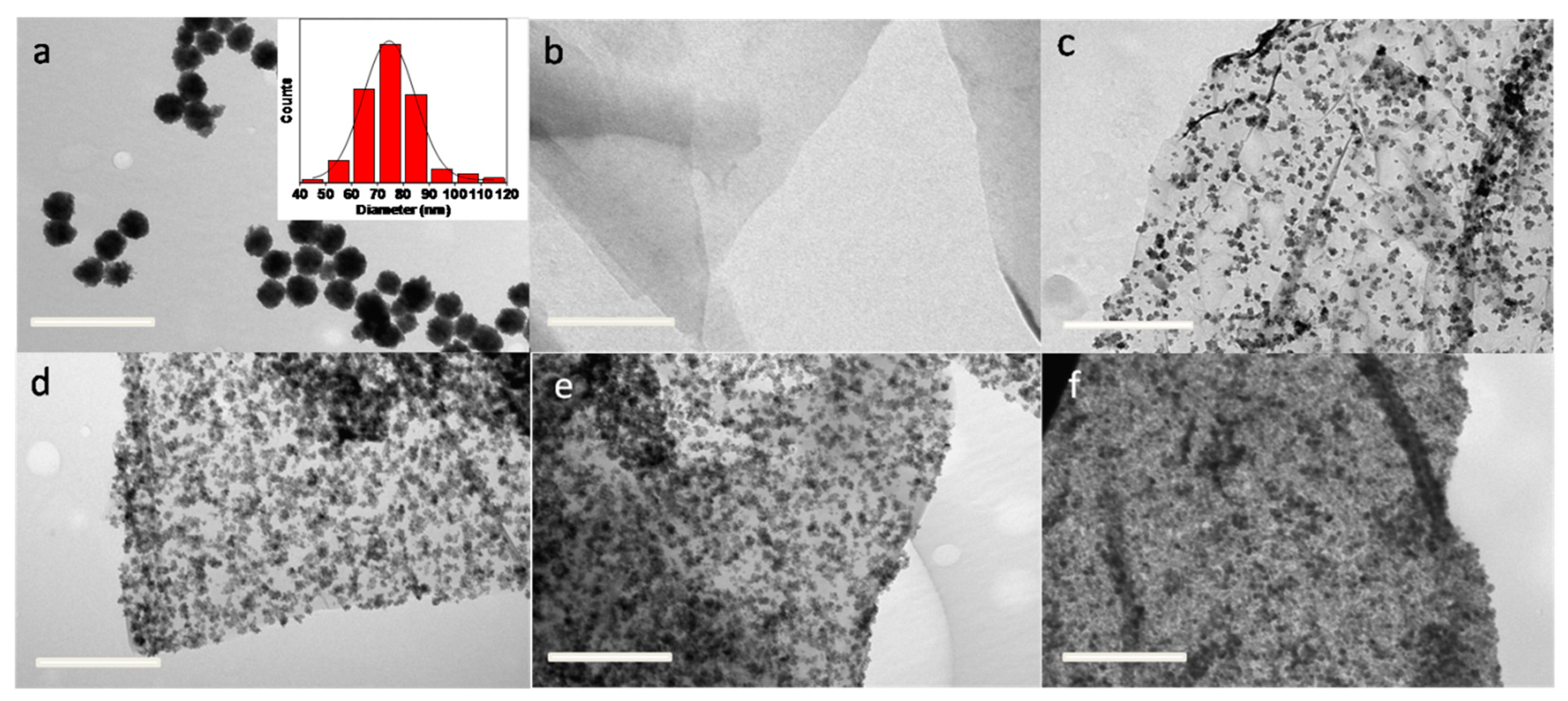 Nanomaterials 12 02805 g001