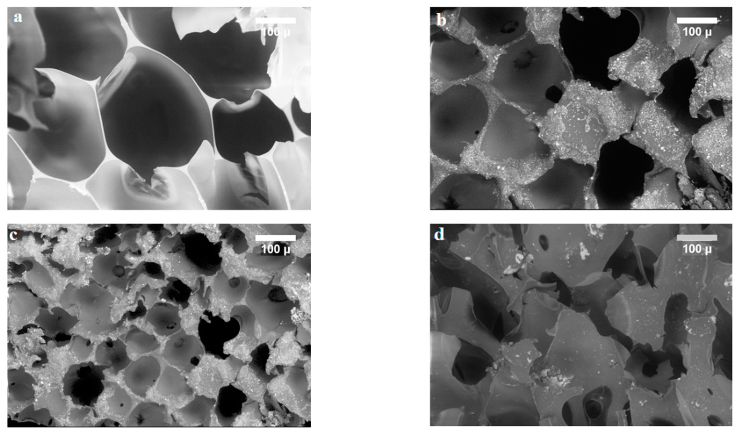 Nanomaterials 12 02805 g007