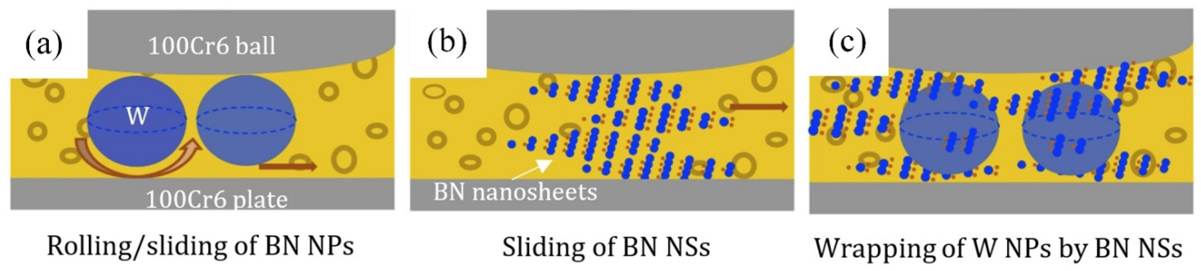 Nanomaterials 12 02810 g006