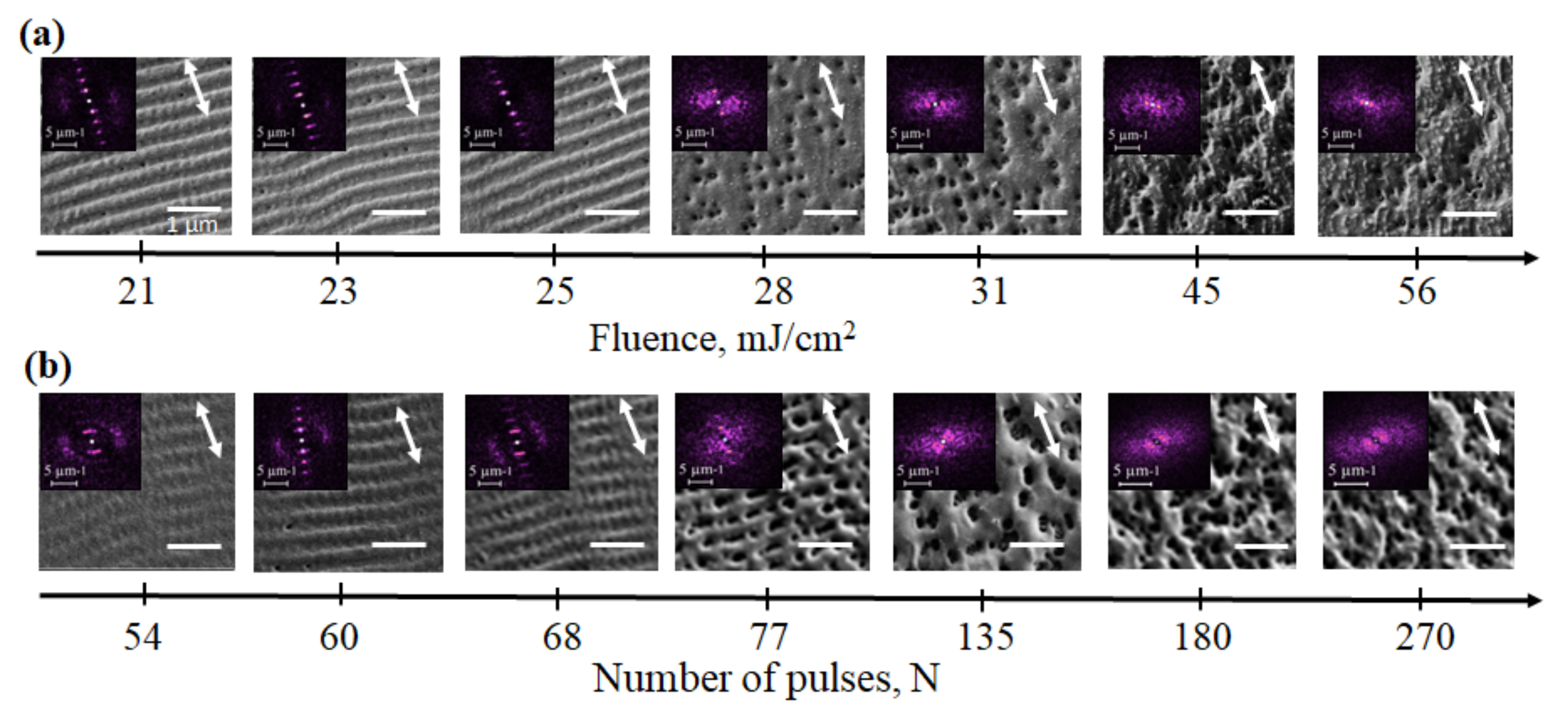 Nanomaterials 12 02811 g001